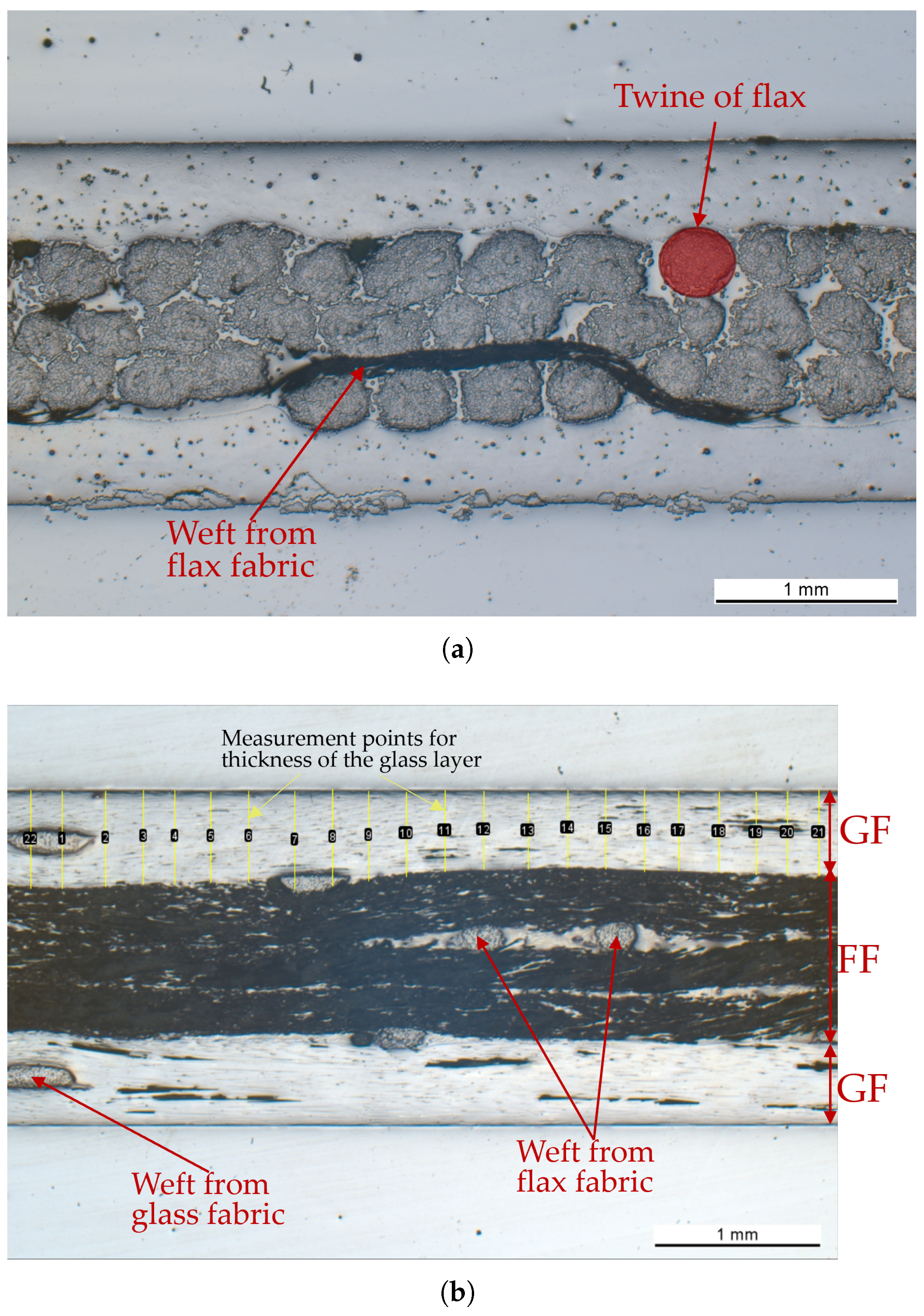 Polymers 17 01953 g016