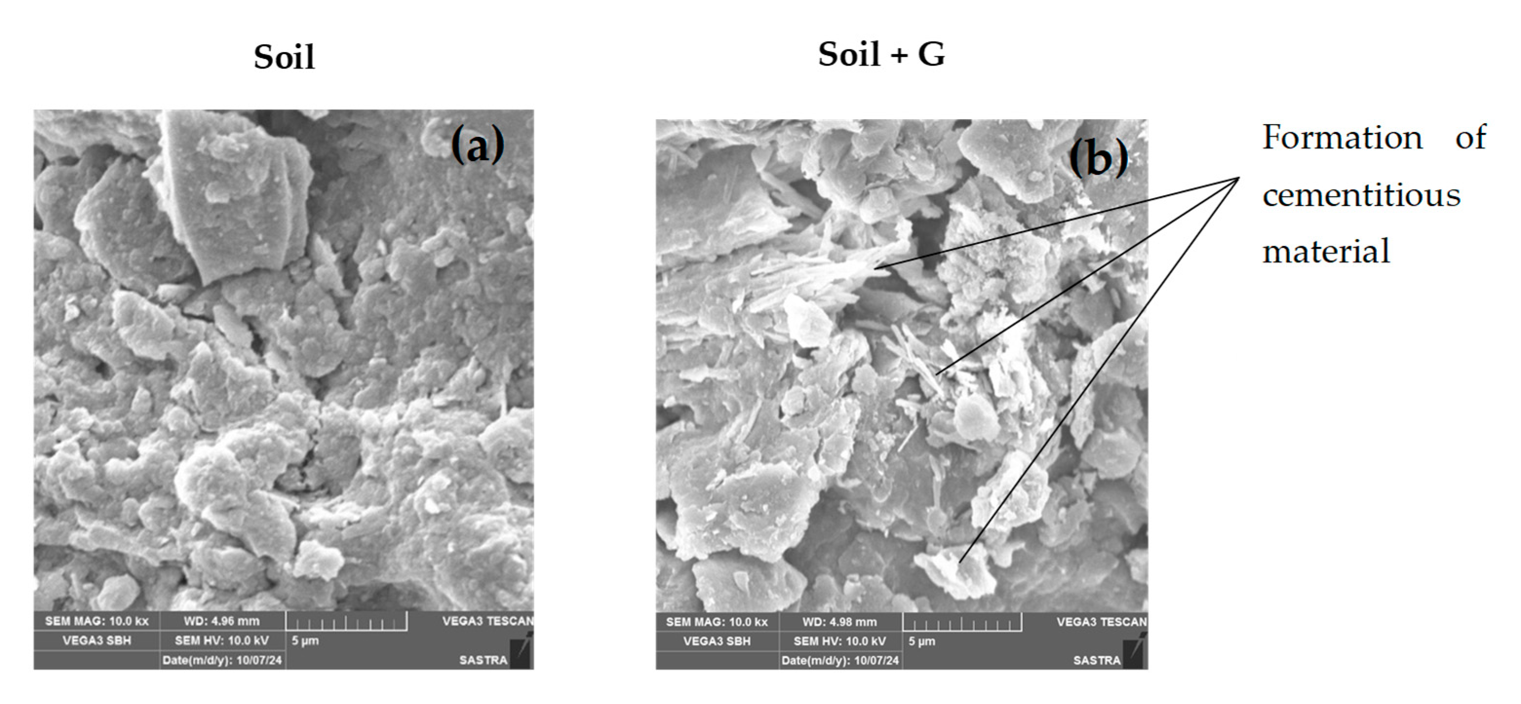 Polymers 17 01954 g010