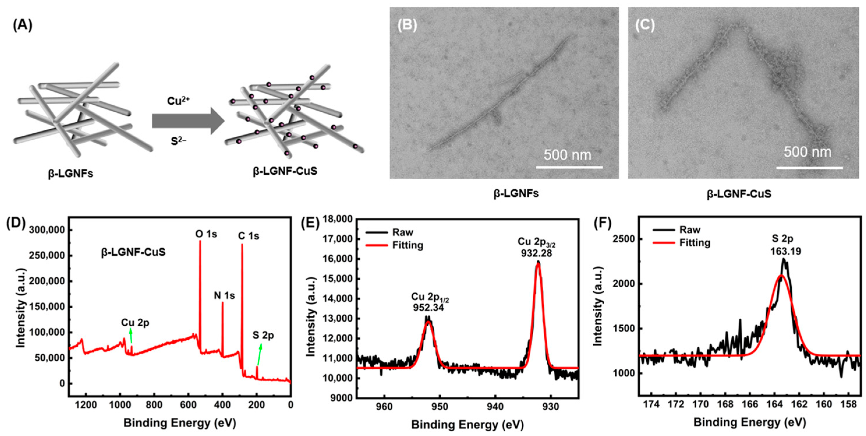 Polymers 17 01960 g002