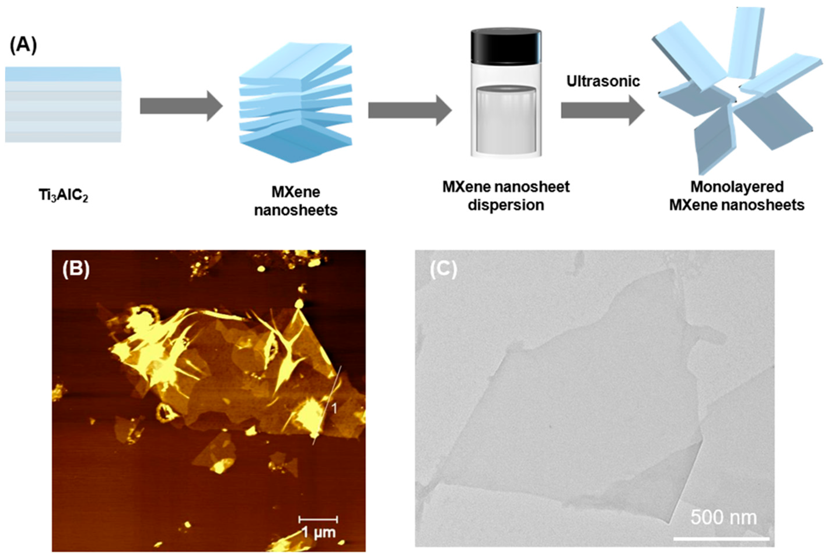 Polymers 17 01960 g003