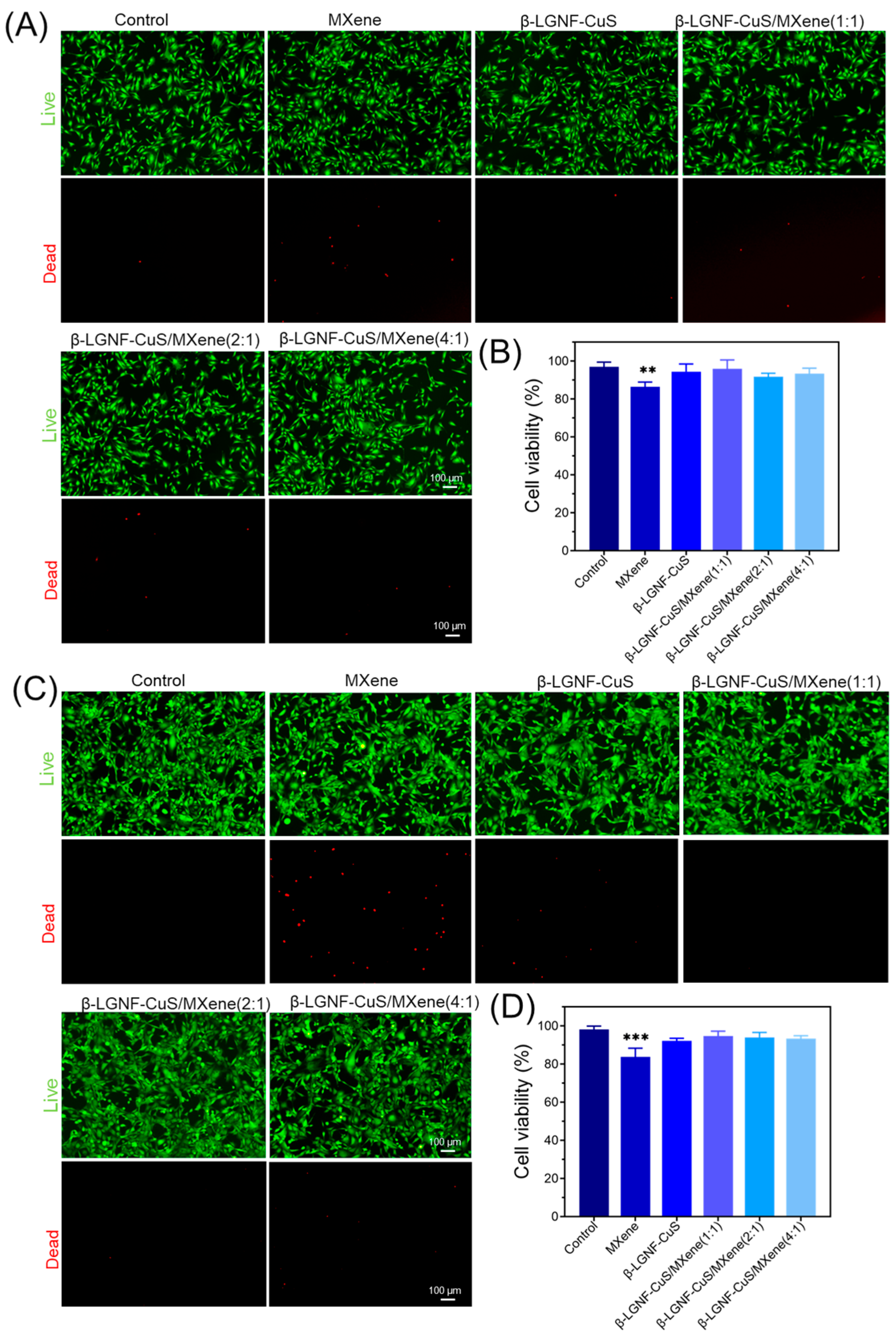 Polymers 17 01960 g006