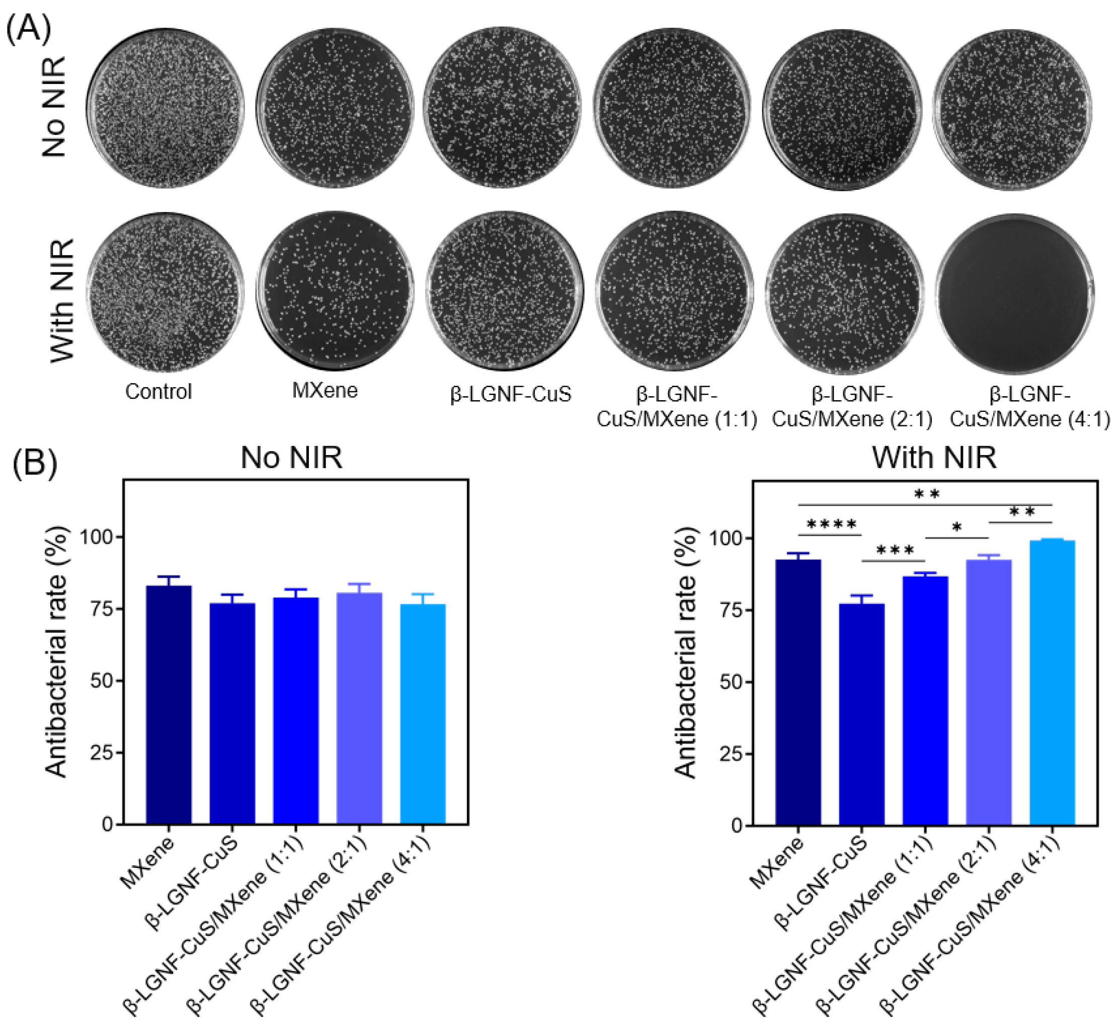 Polymers 17 01960 g007