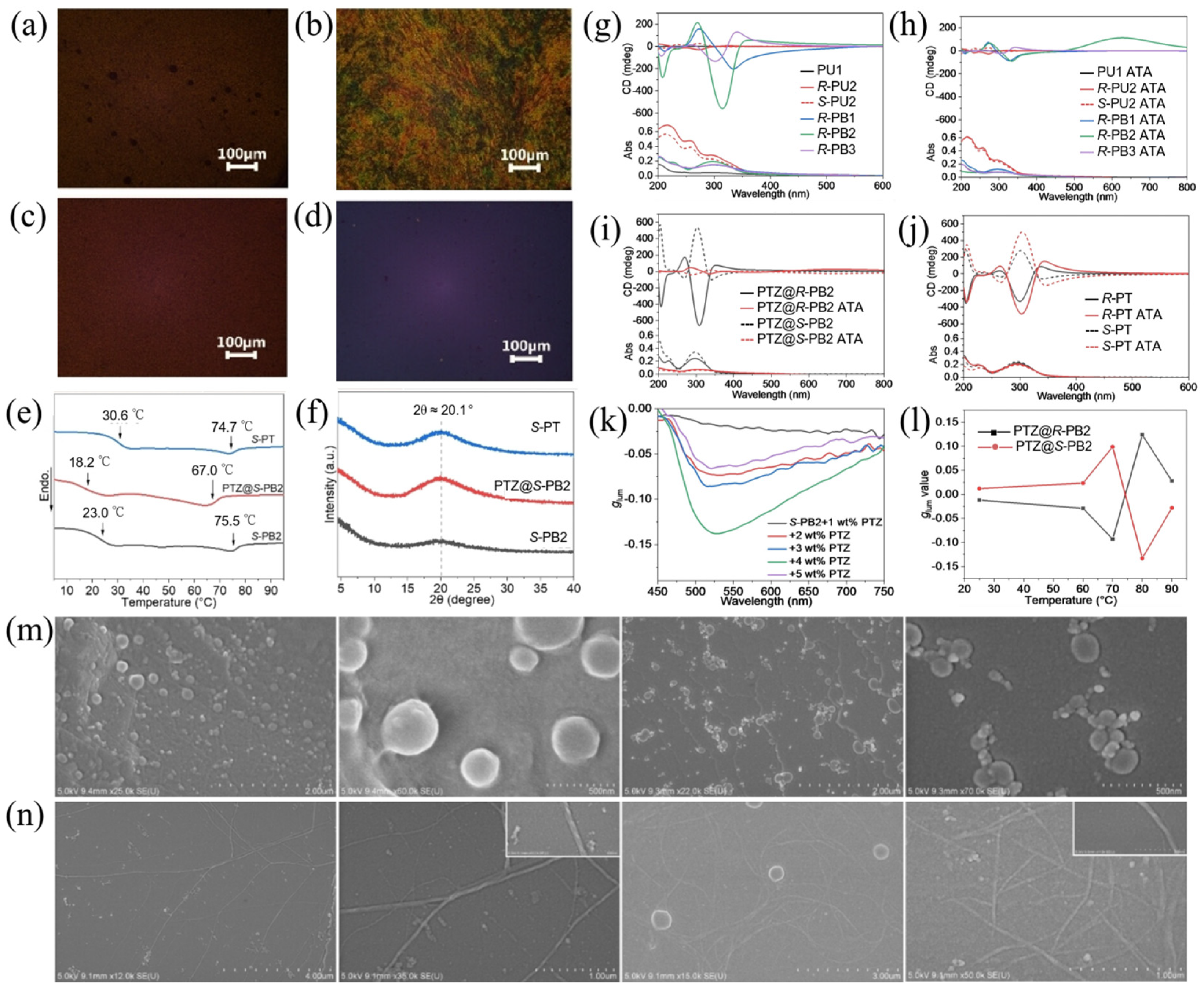 Polymers 17 01961 g004