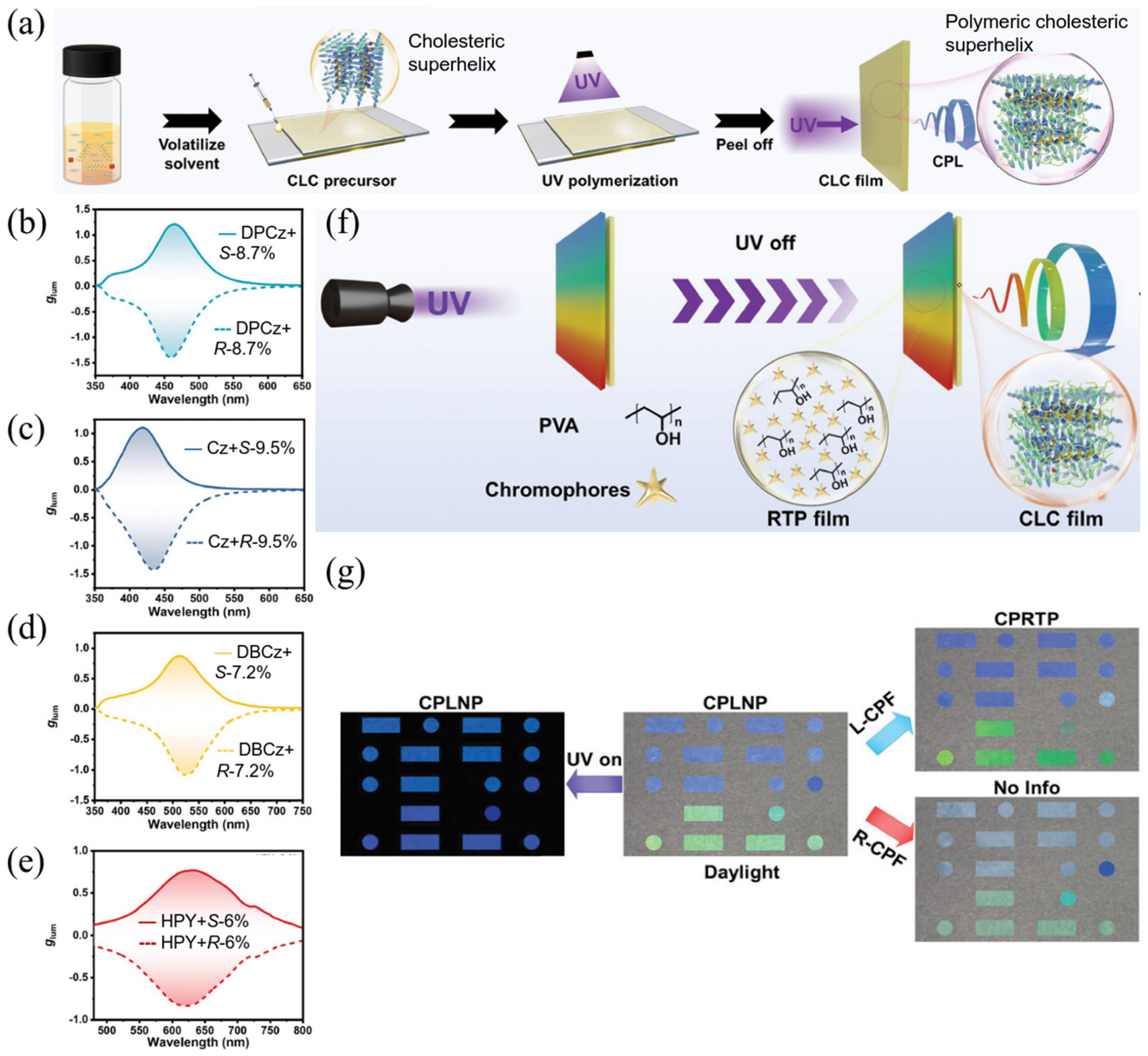 Polymers 17 01961 g006