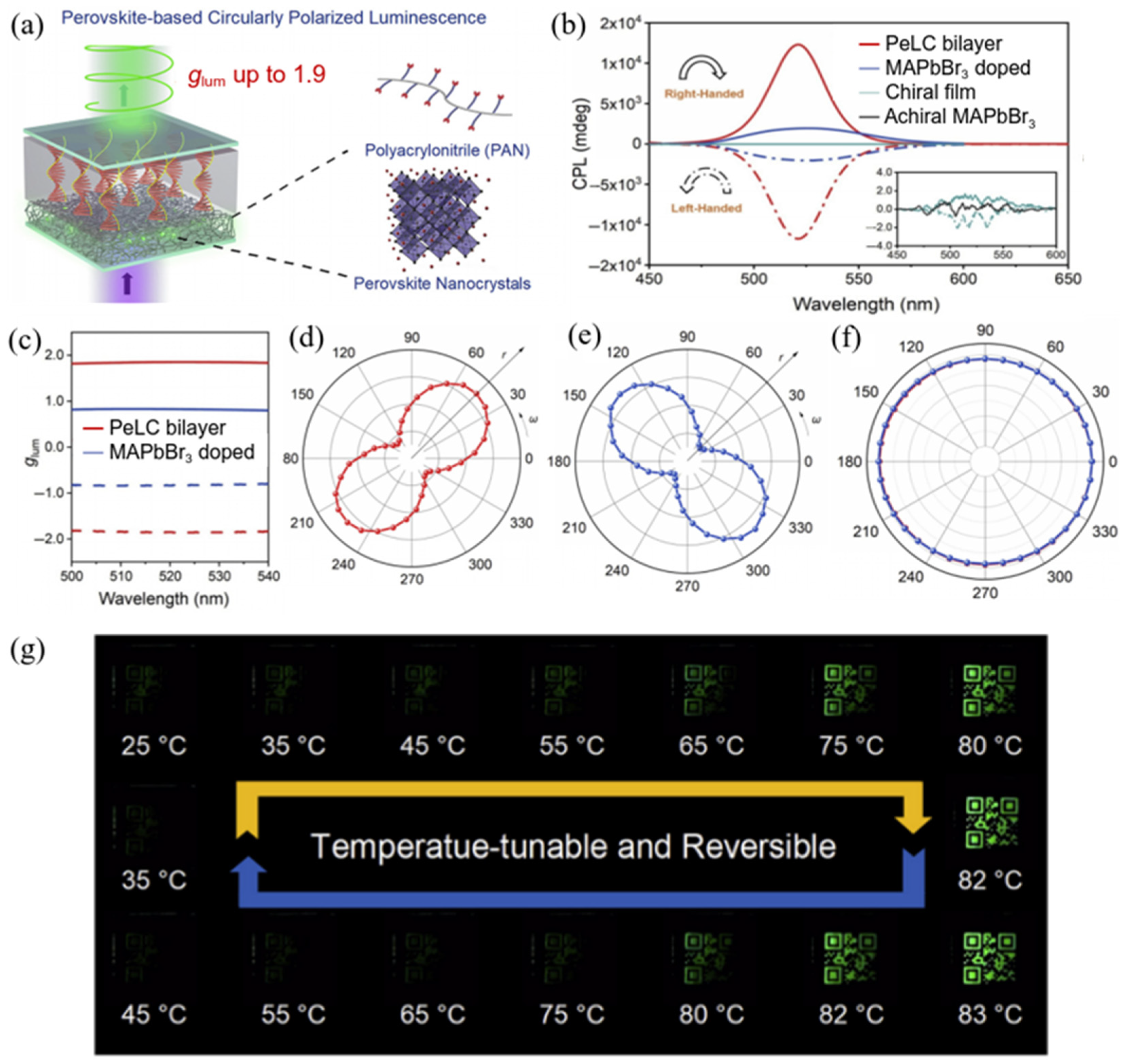 Polymers 17 01961 g007