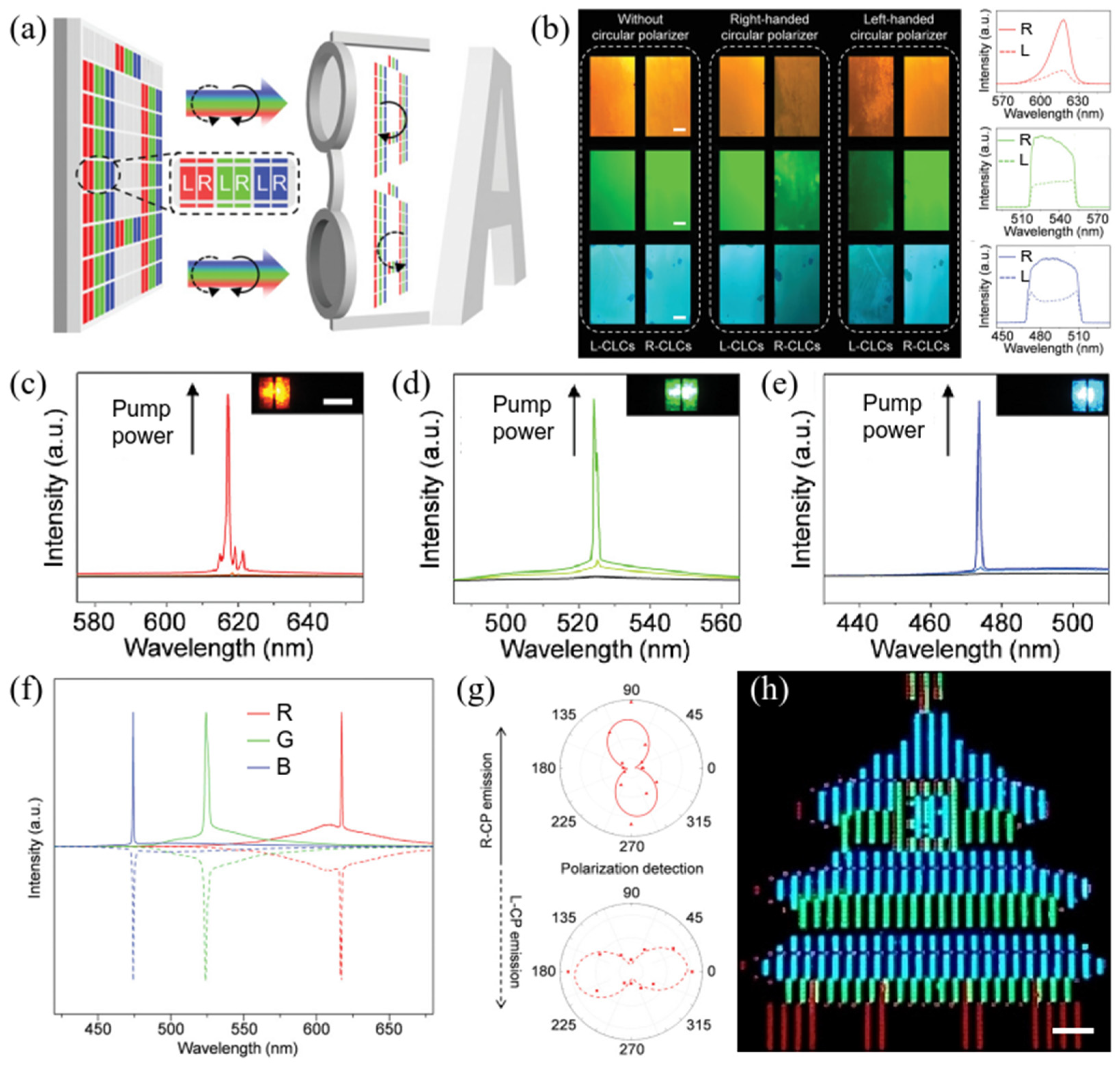 Polymers 17 01961 g008