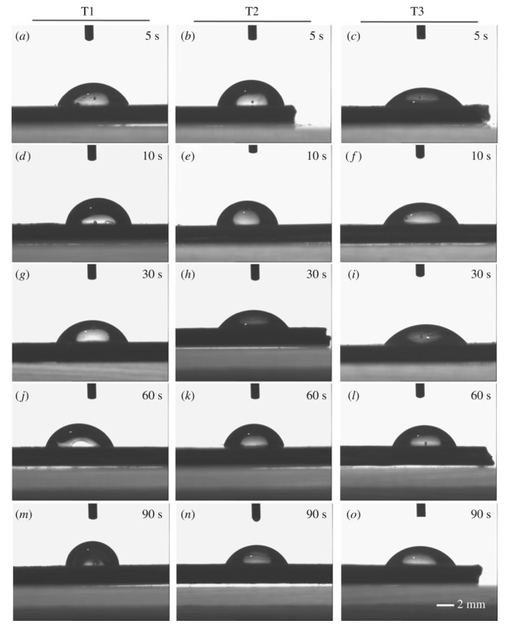 Polymers 17 01968 g010
