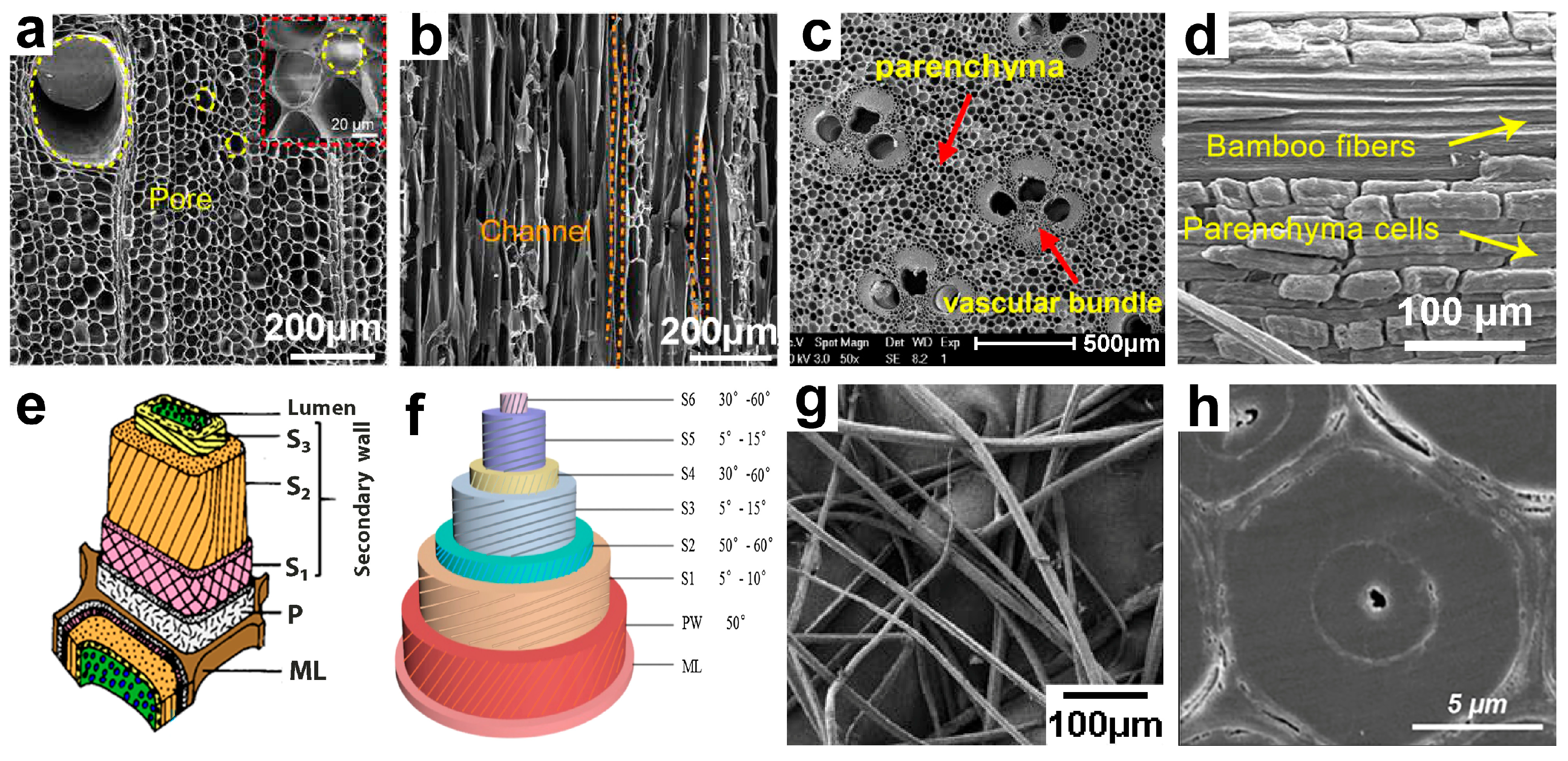 Polymers 17 01972 g002