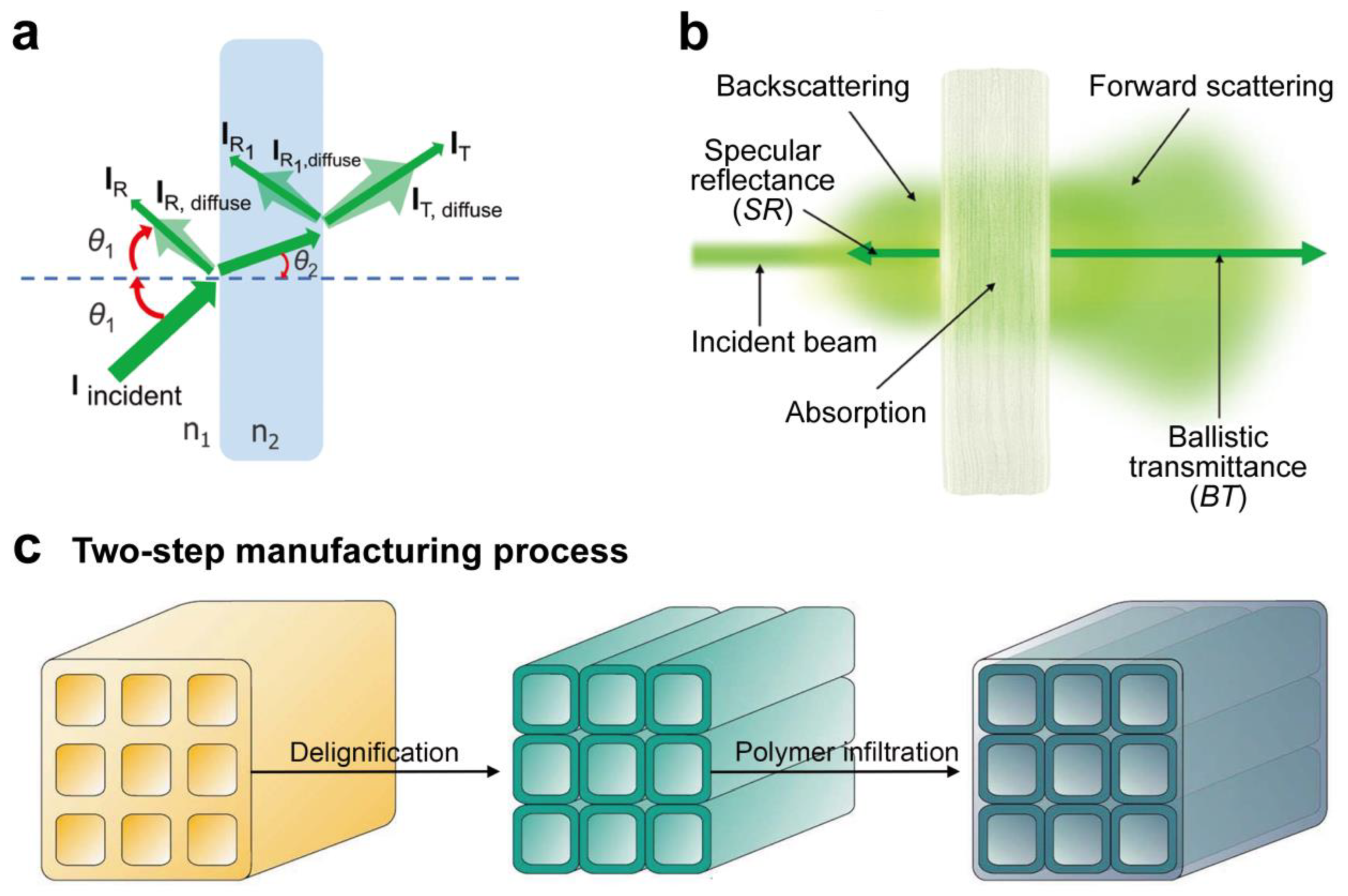 Polymers 17 01972 g003
