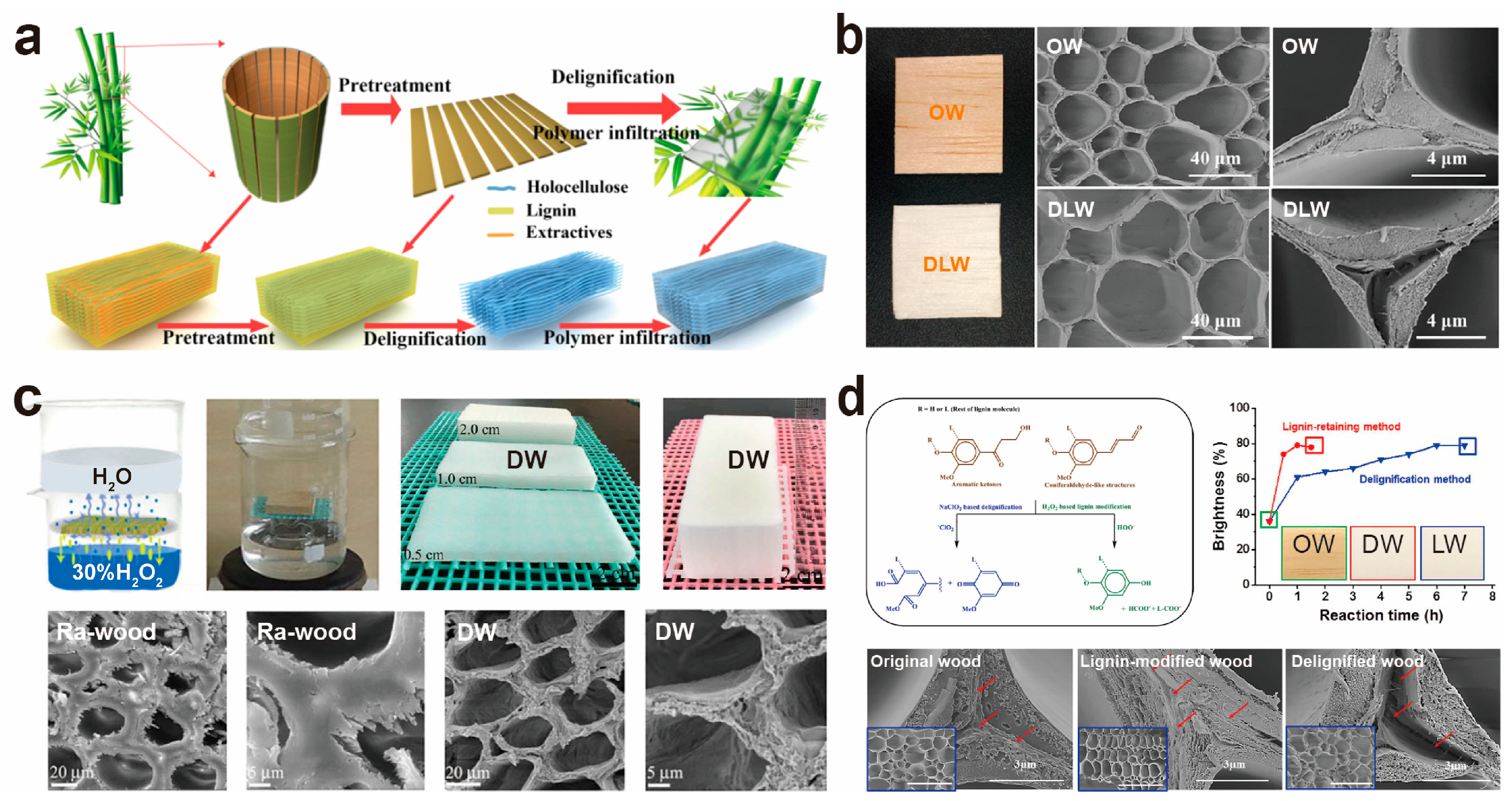 Polymers 17 01972 g004