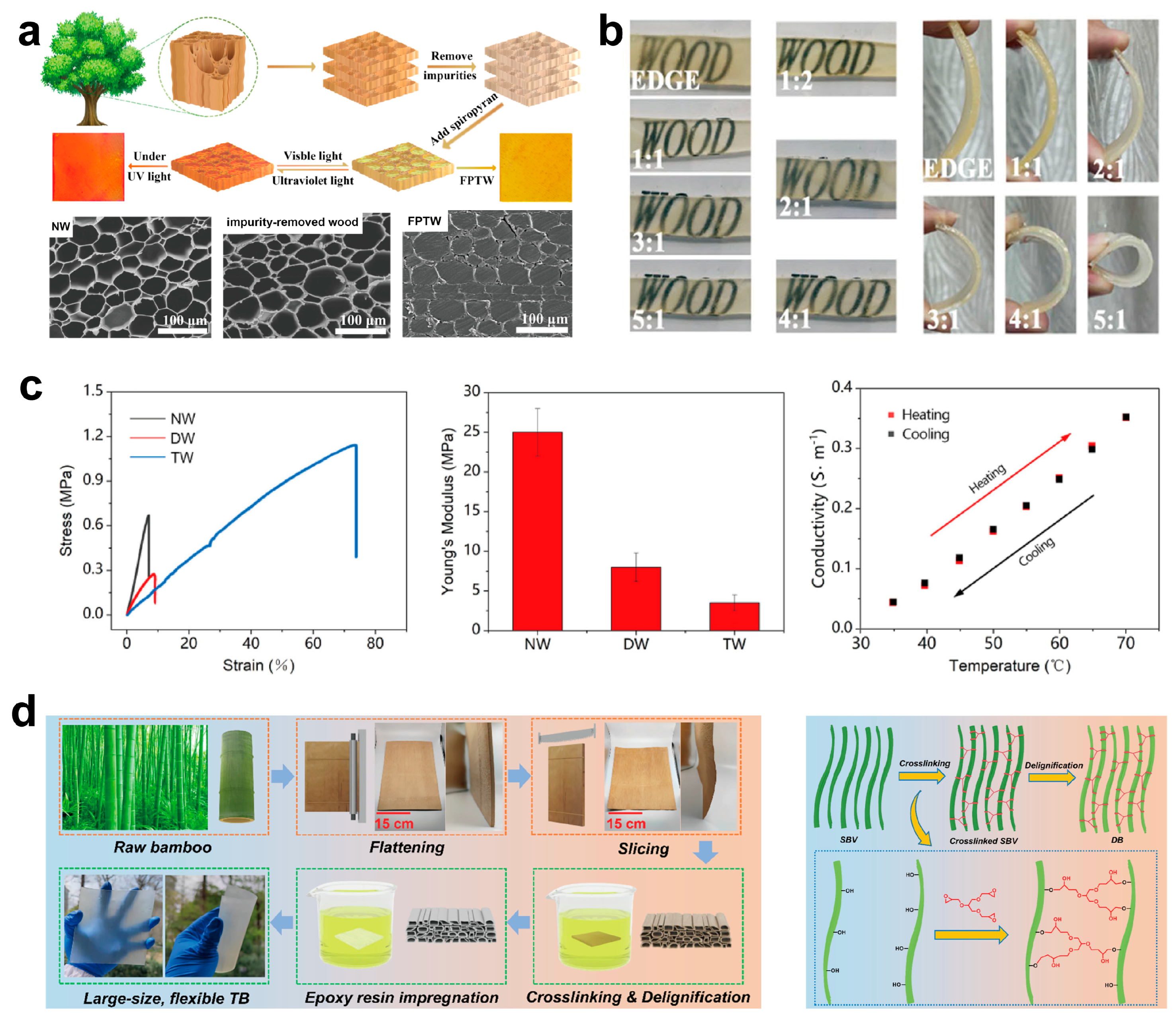Polymers 17 01972 g005