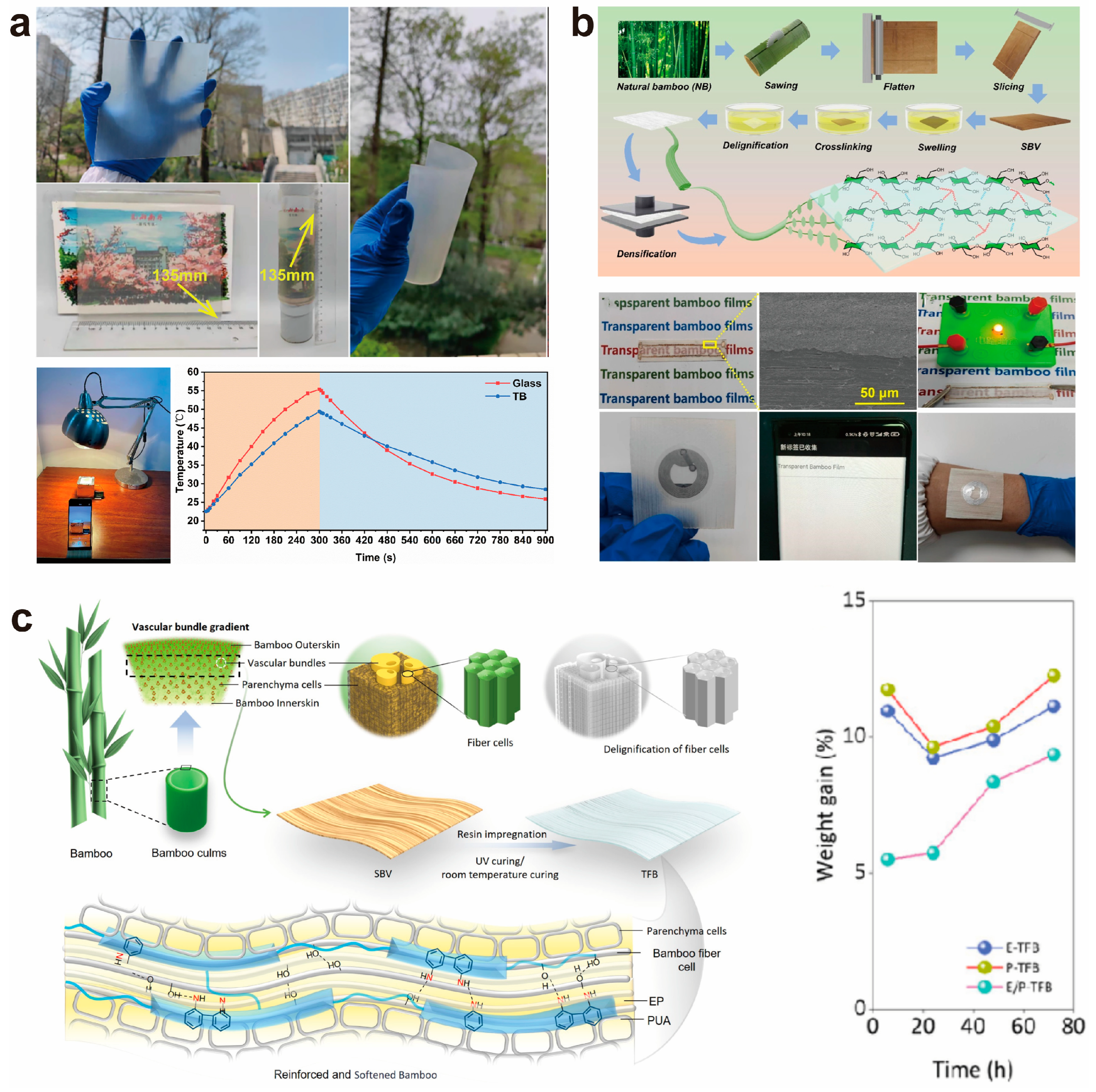 Polymers 17 01972 g010