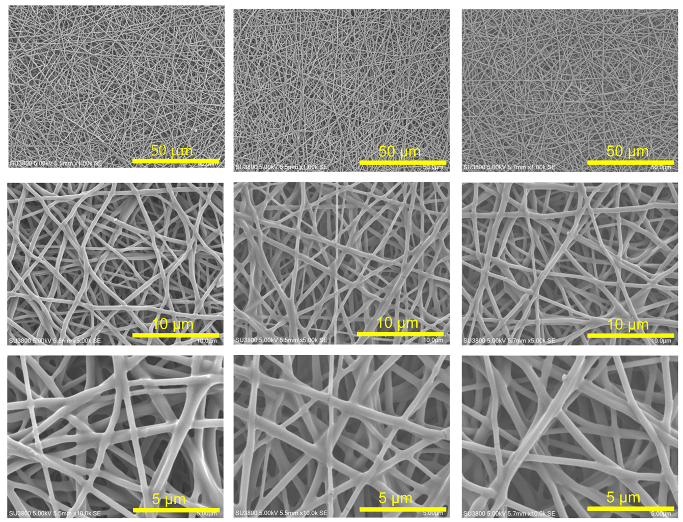 Polymers 17 01973 i001