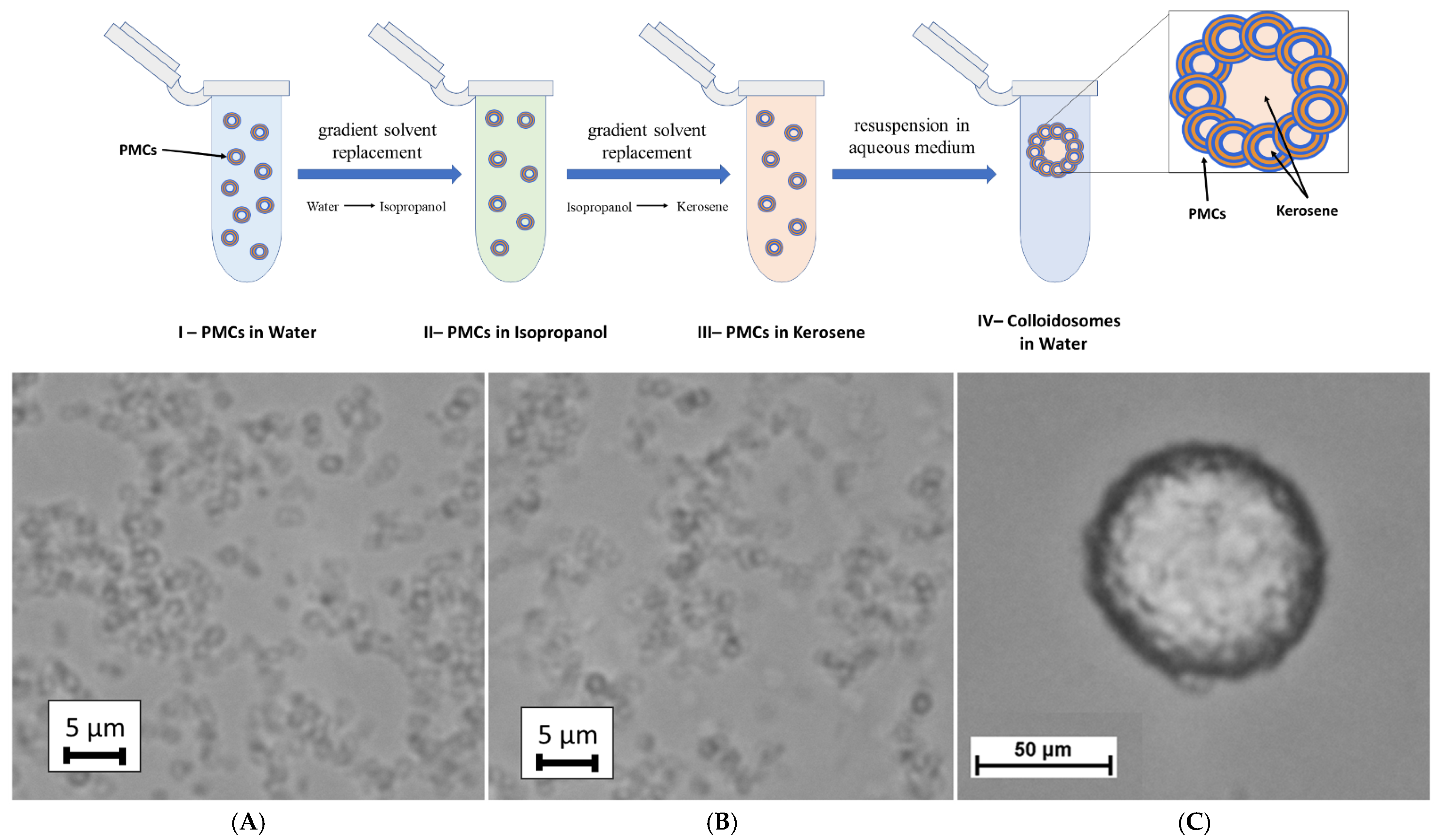 Polymers 17 01975 g002