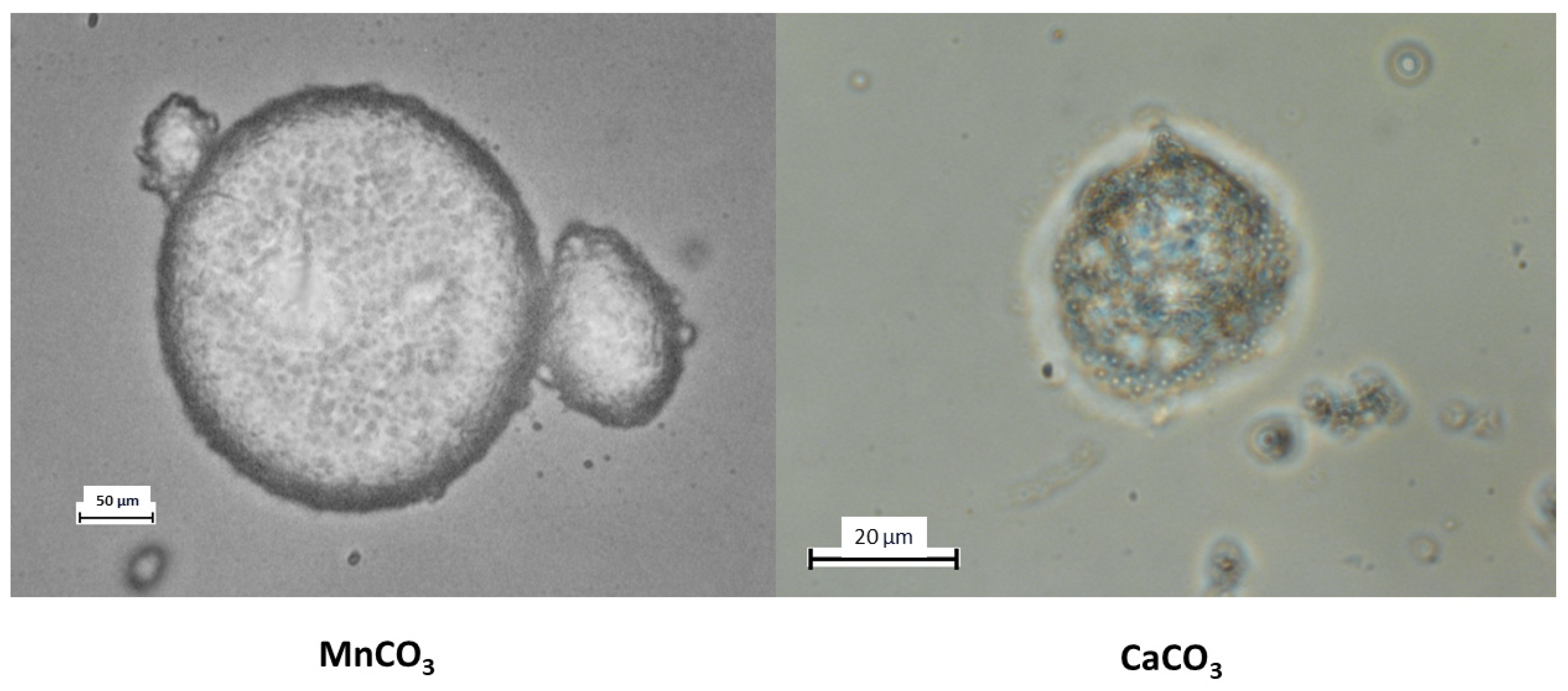 Polymers 17 01975 g003