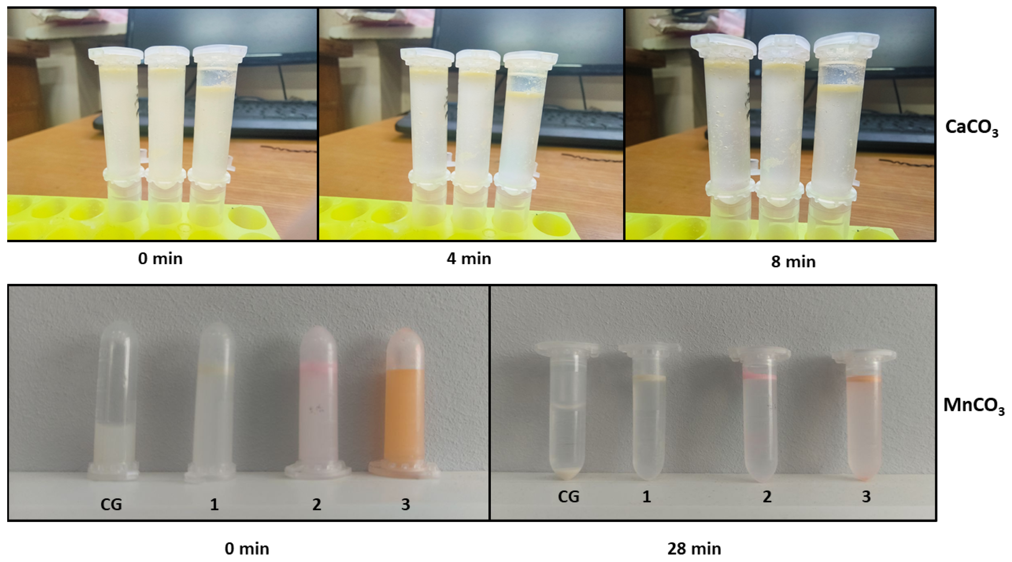 Polymers 17 01975 g004