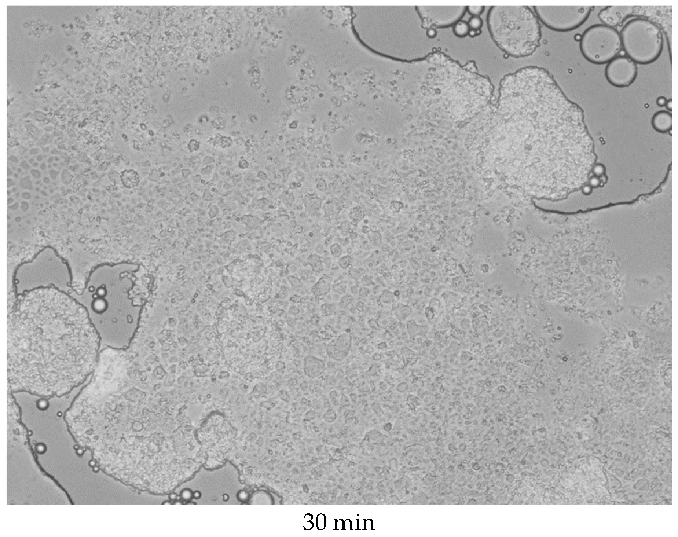 Polymers 17 01975 g008b