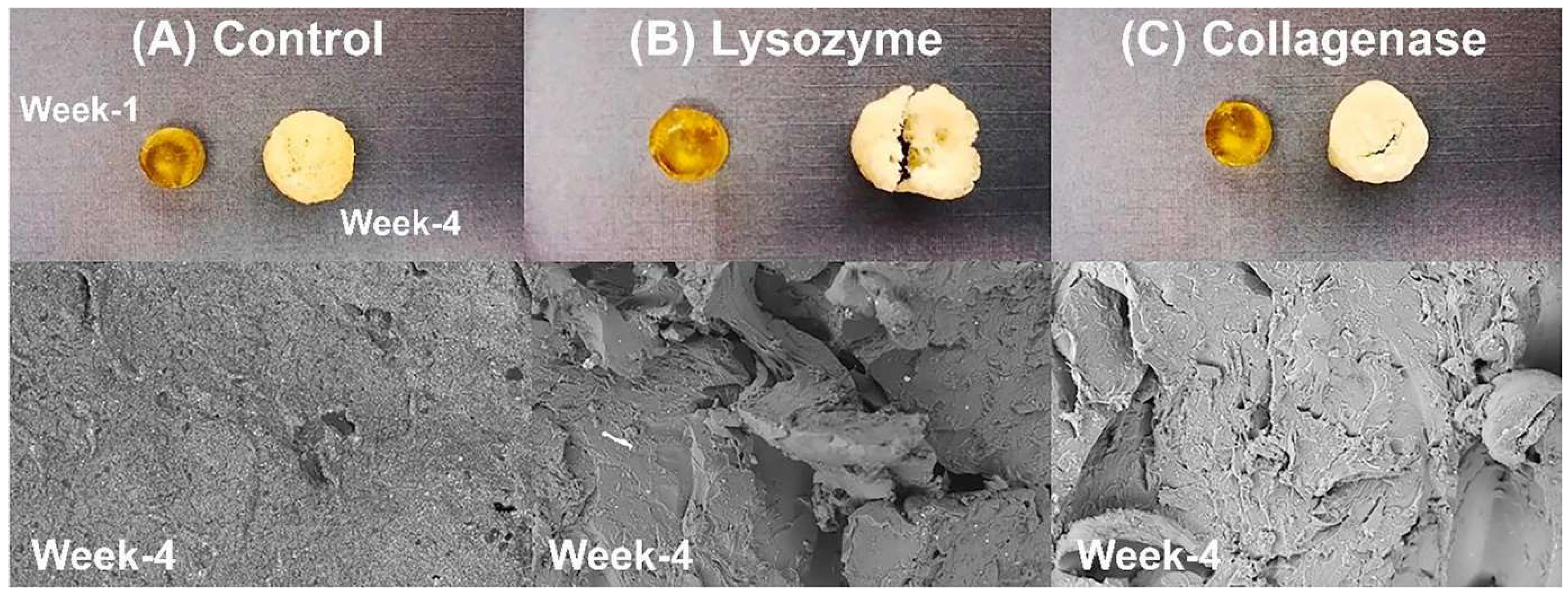 Polymers 17 01976 g004