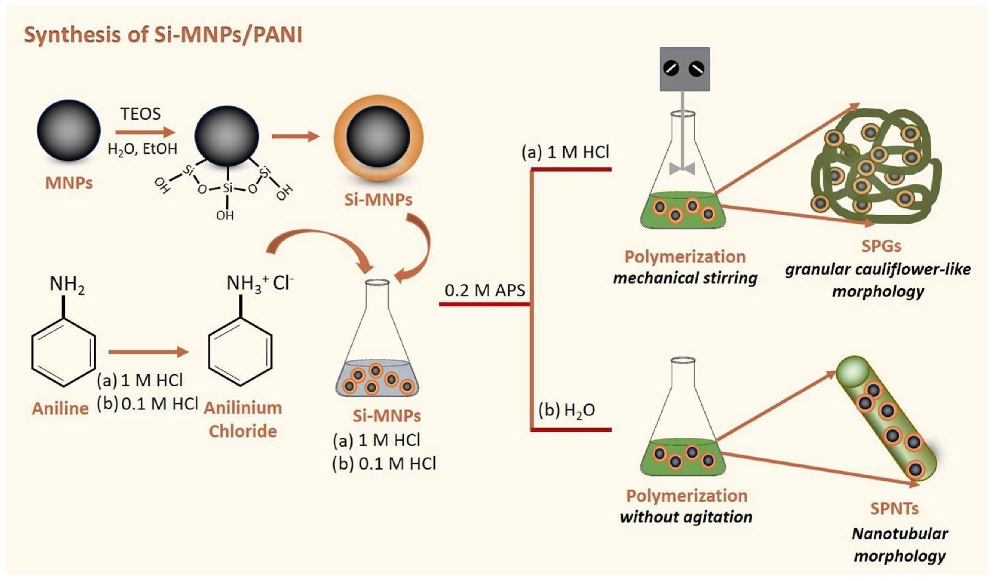 Polymers 17 01976 g006