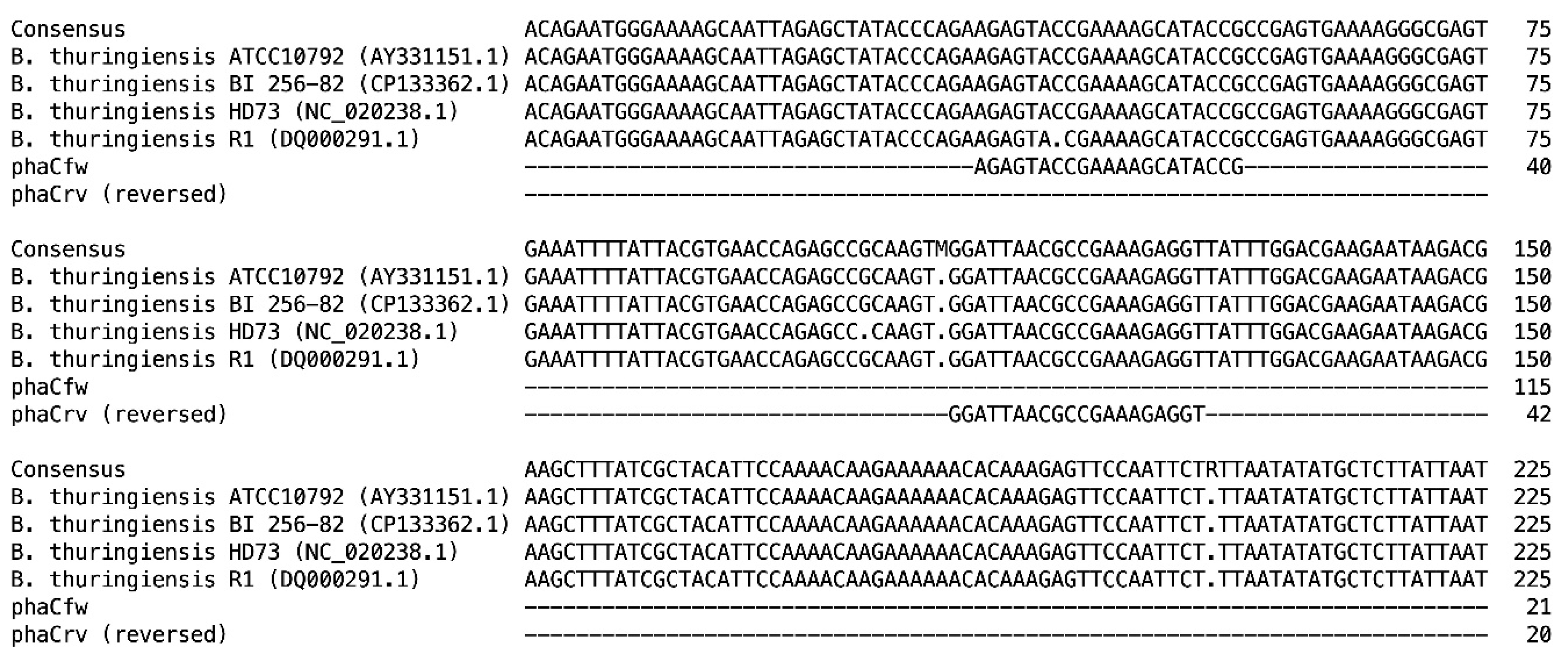 Polymers 17 01978 g001