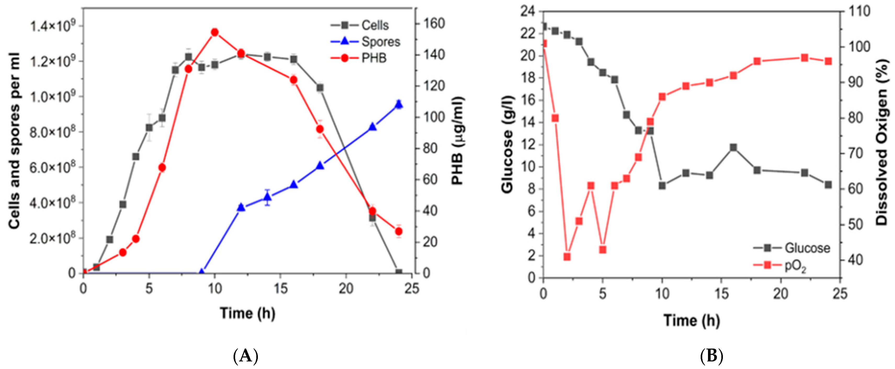 Polymers 17 01978 g009