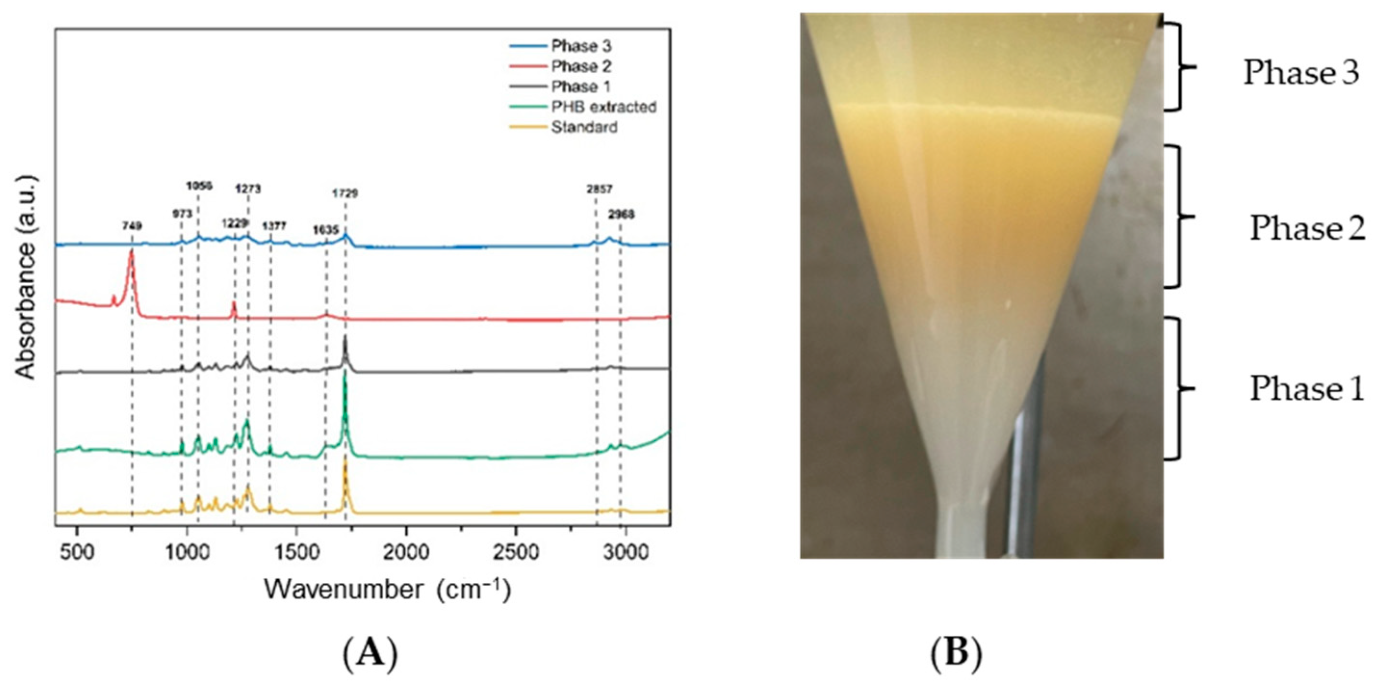 Polymers 17 01978 g010
