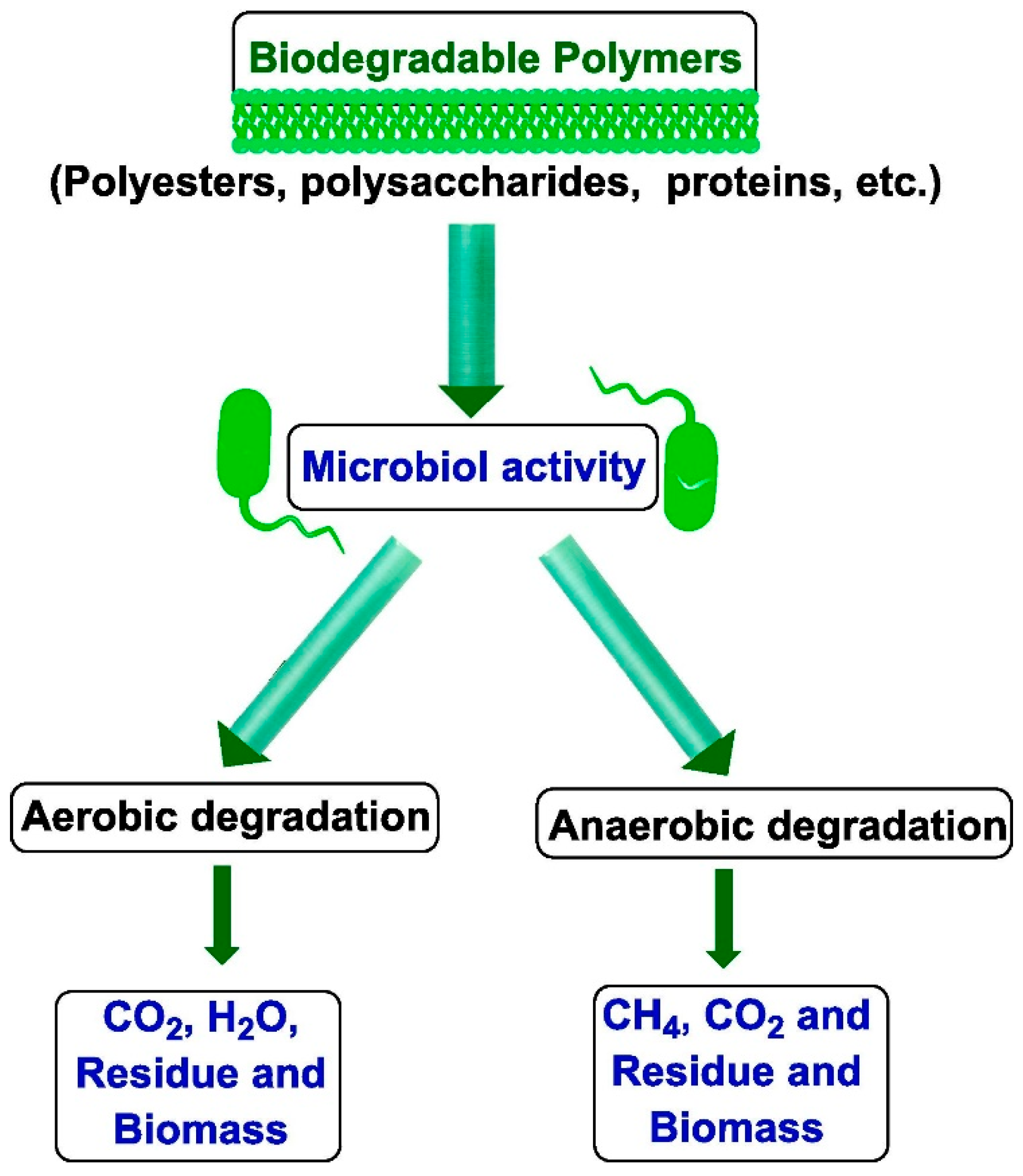Polymers 17 01981 g001