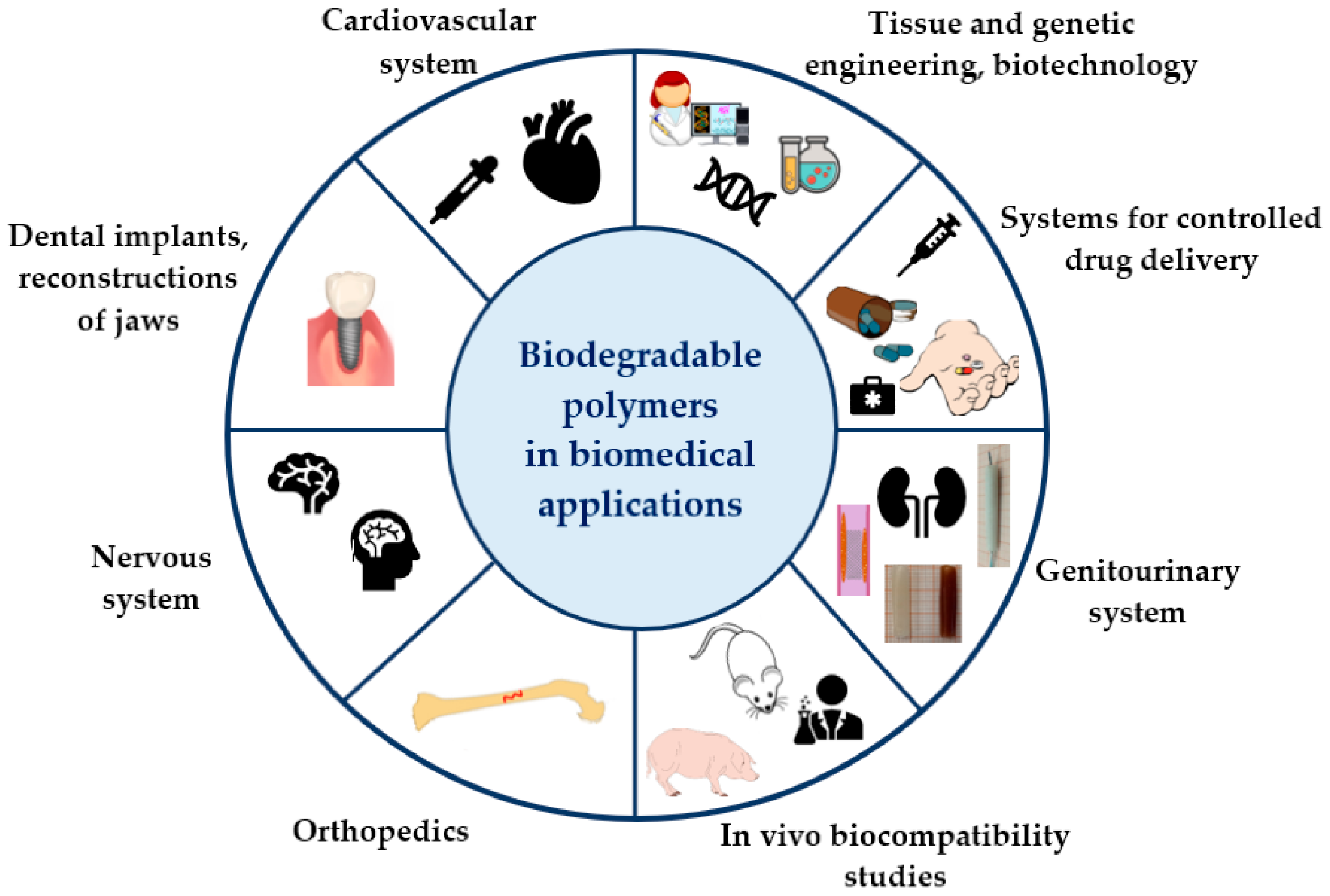 Polymers 17 01981 g004