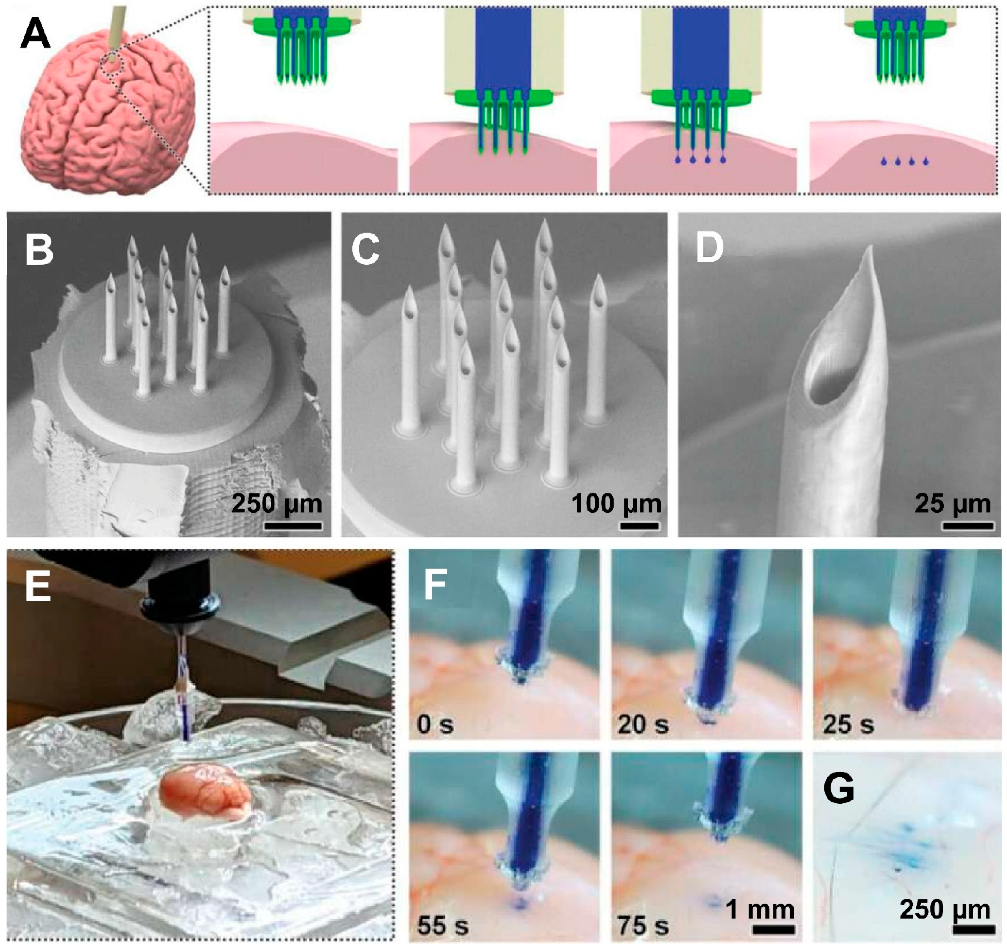 Polymers 17 01982 g004