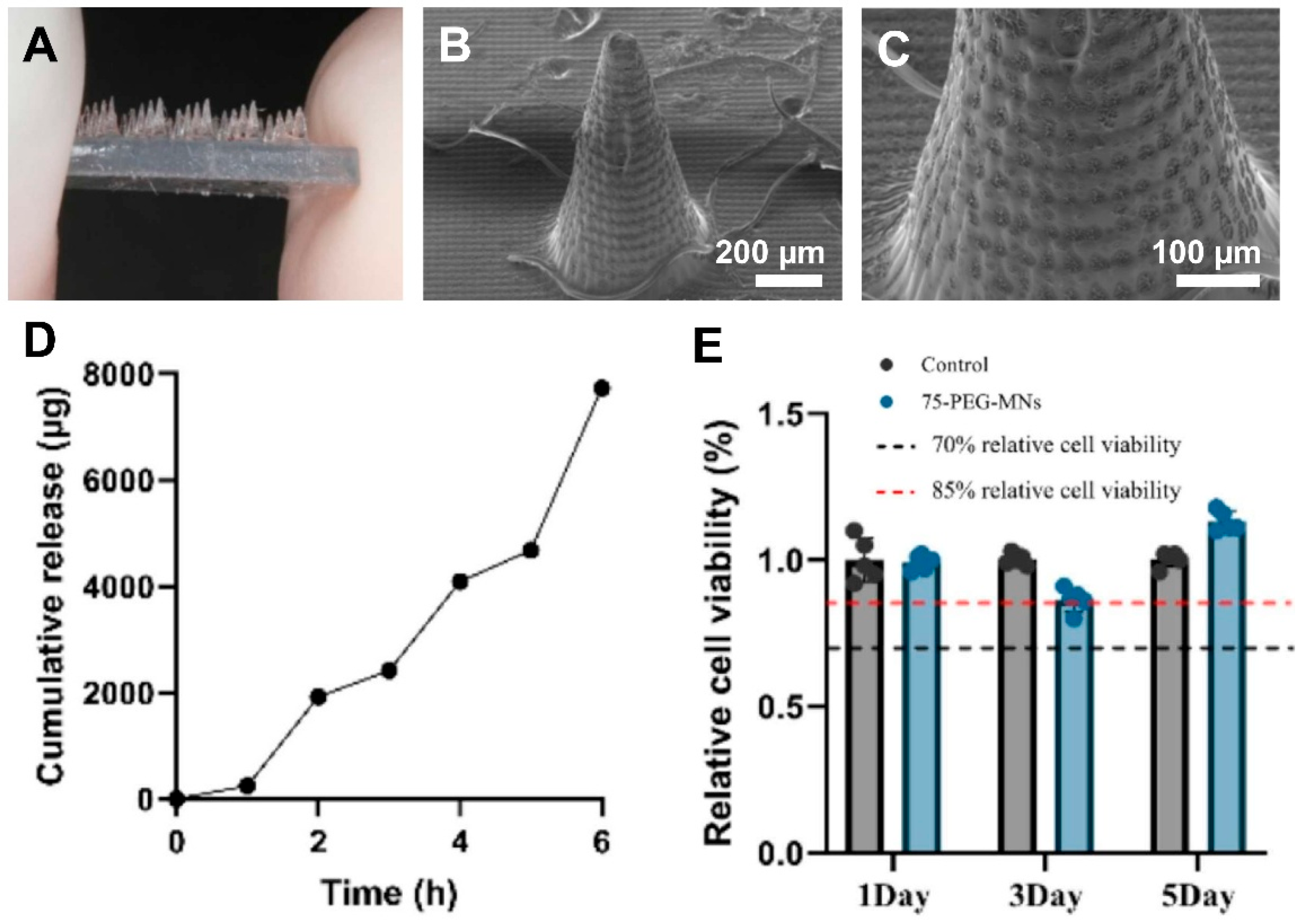 Polymers 17 01982 g005