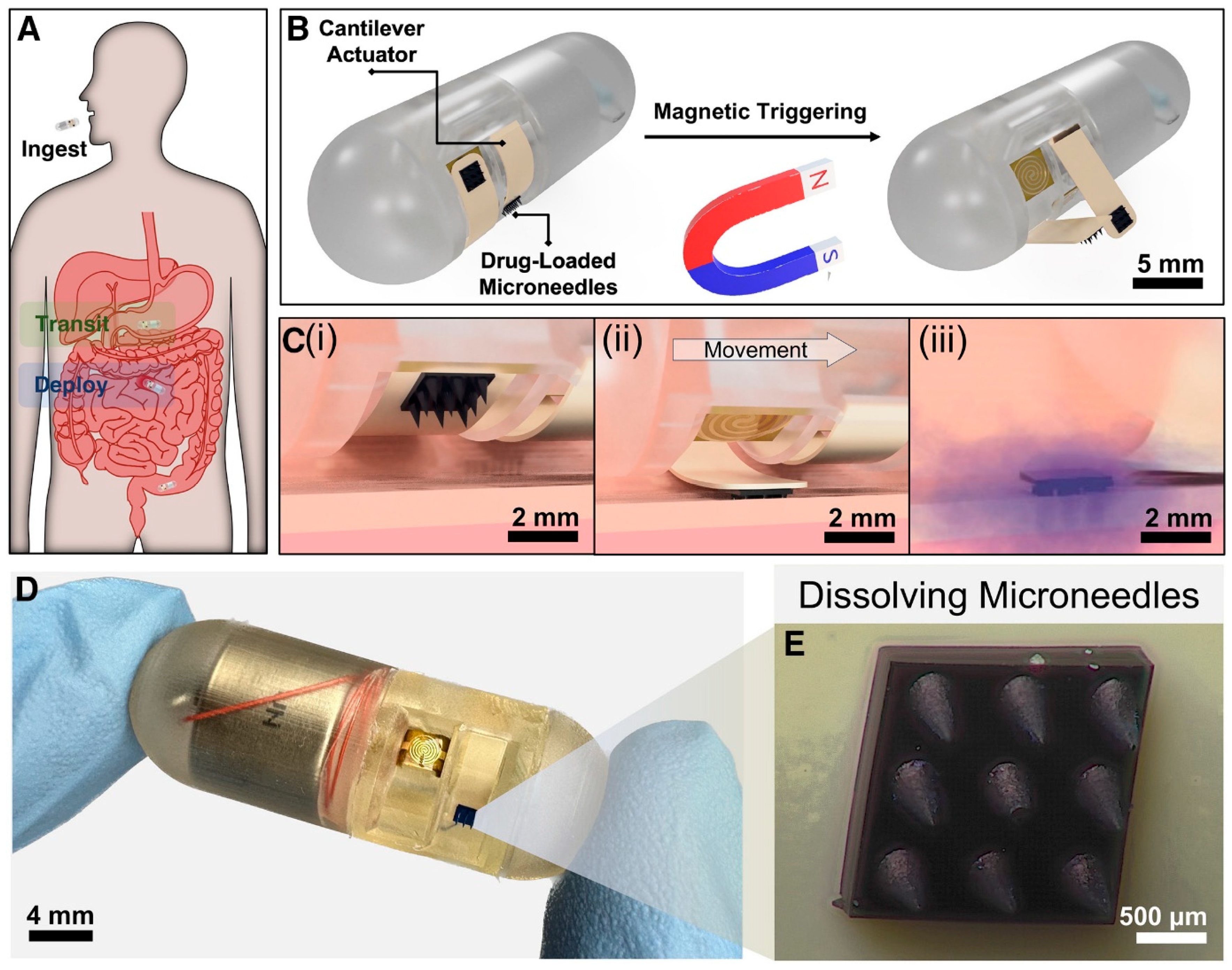Polymers 17 01982 g006
