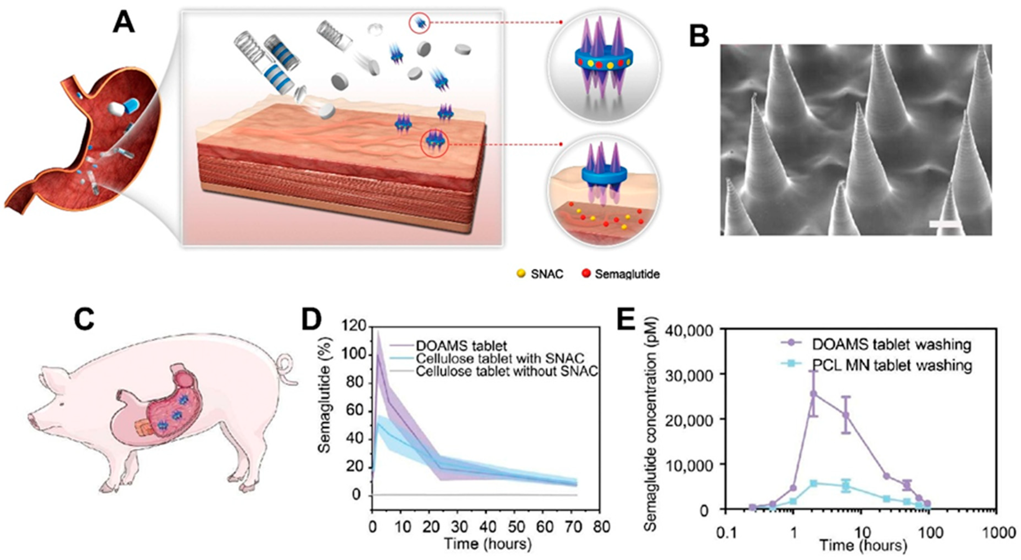 Polymers 17 01982 g007
