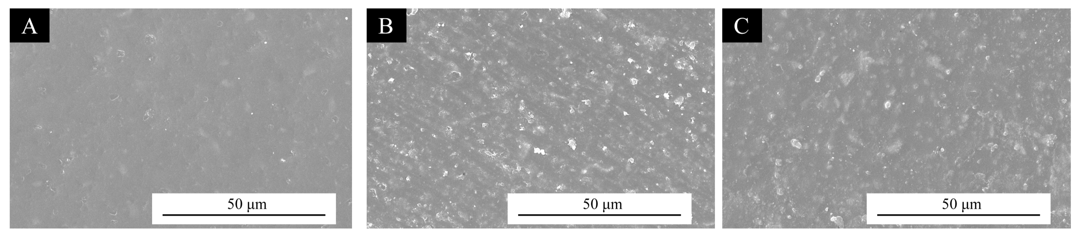 Polymers 17 01985 g004