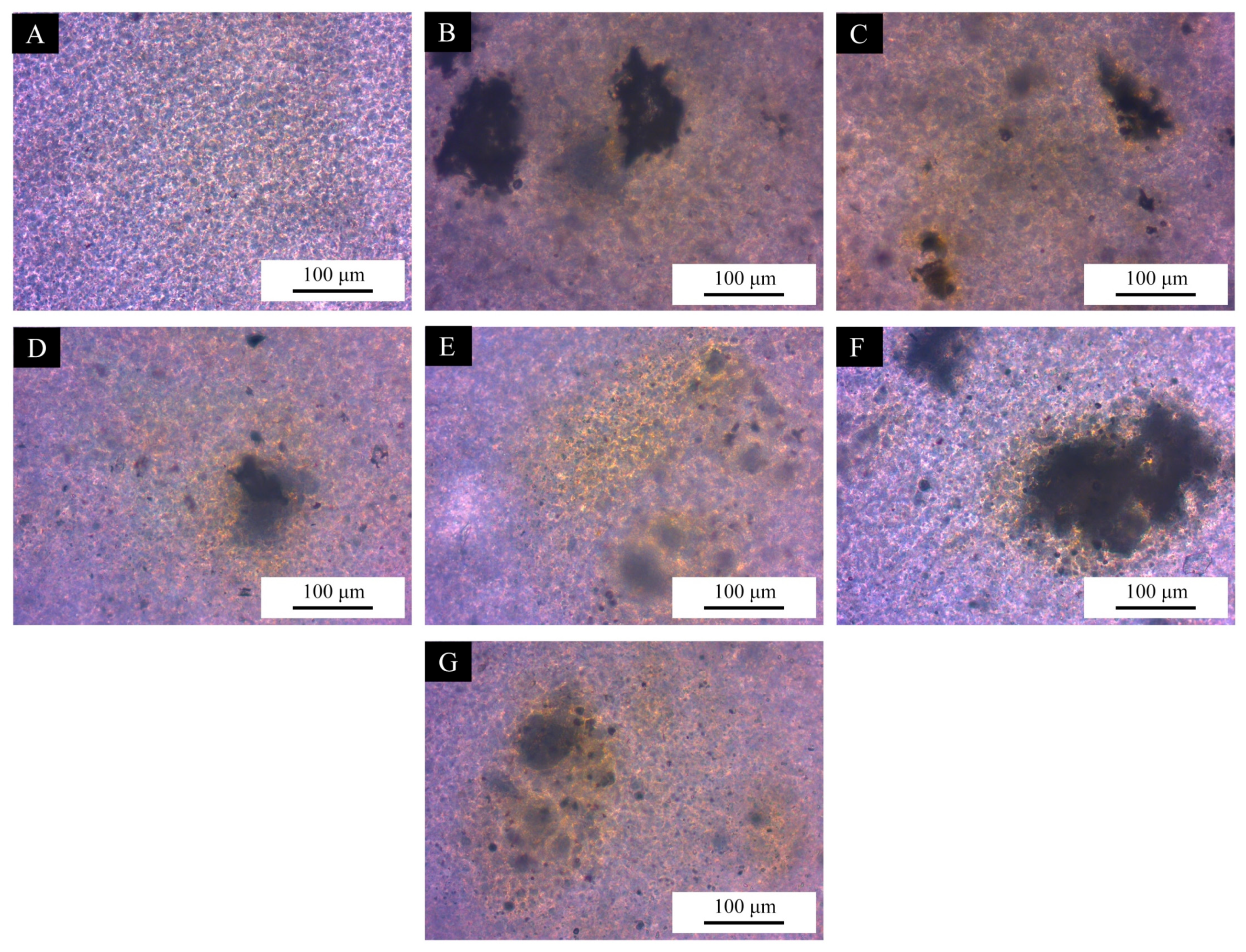 Polymers 17 01985 g010