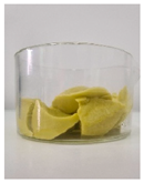 Polymers 17 01988 i003