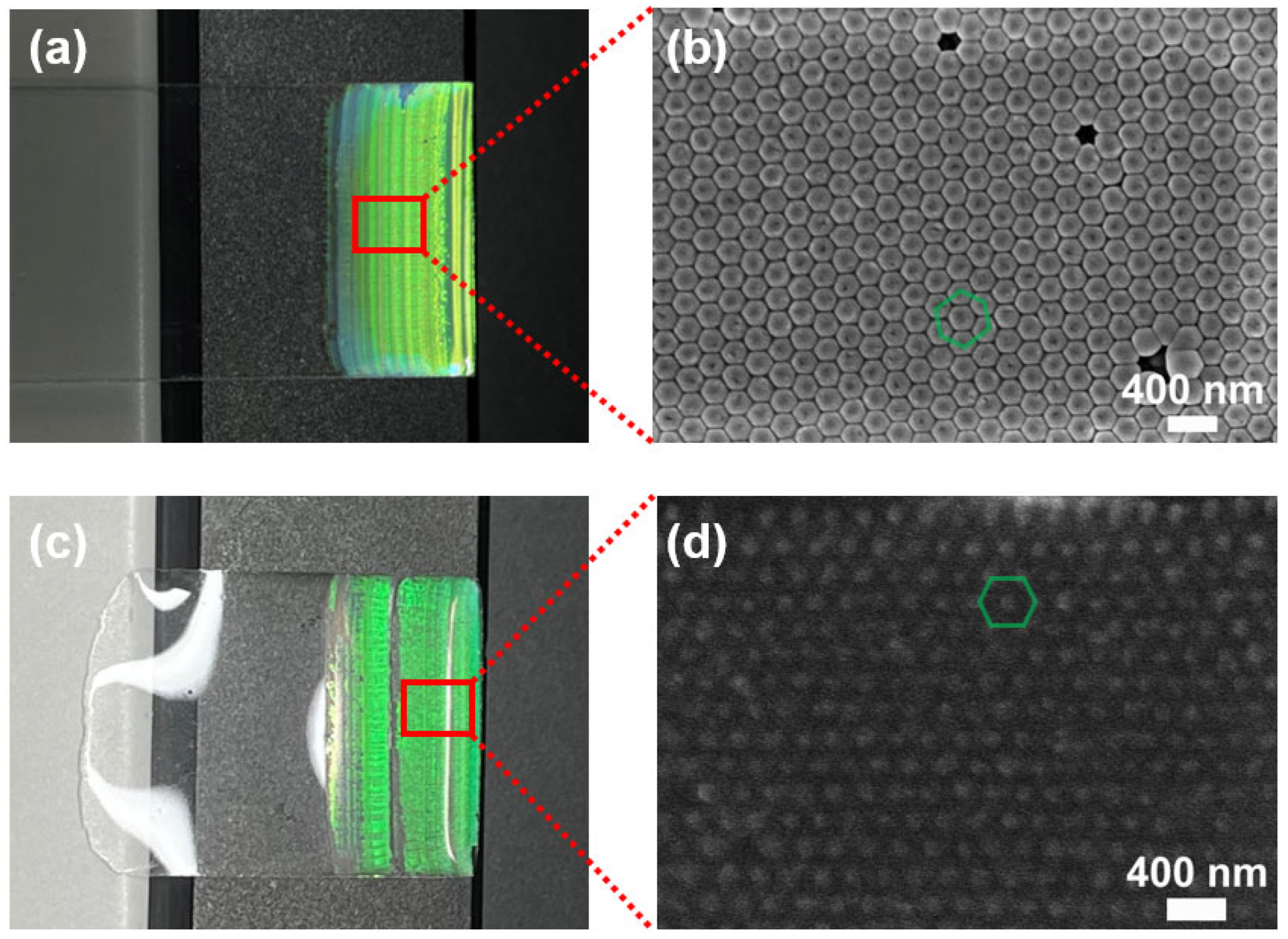 Polymers 17 01995 g002