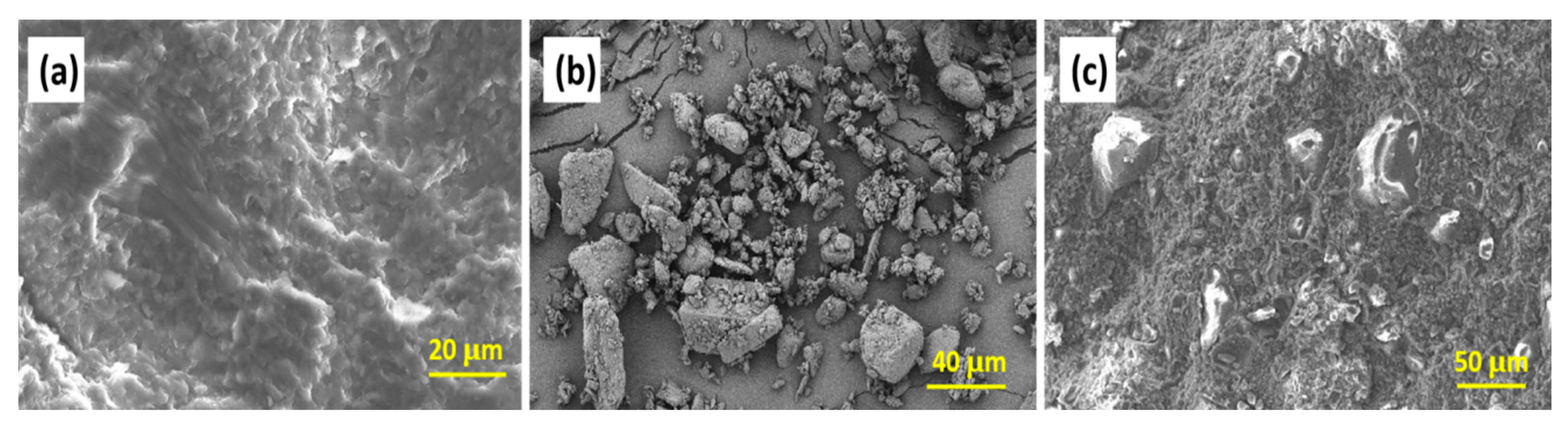 Polymers 17 02003 g002