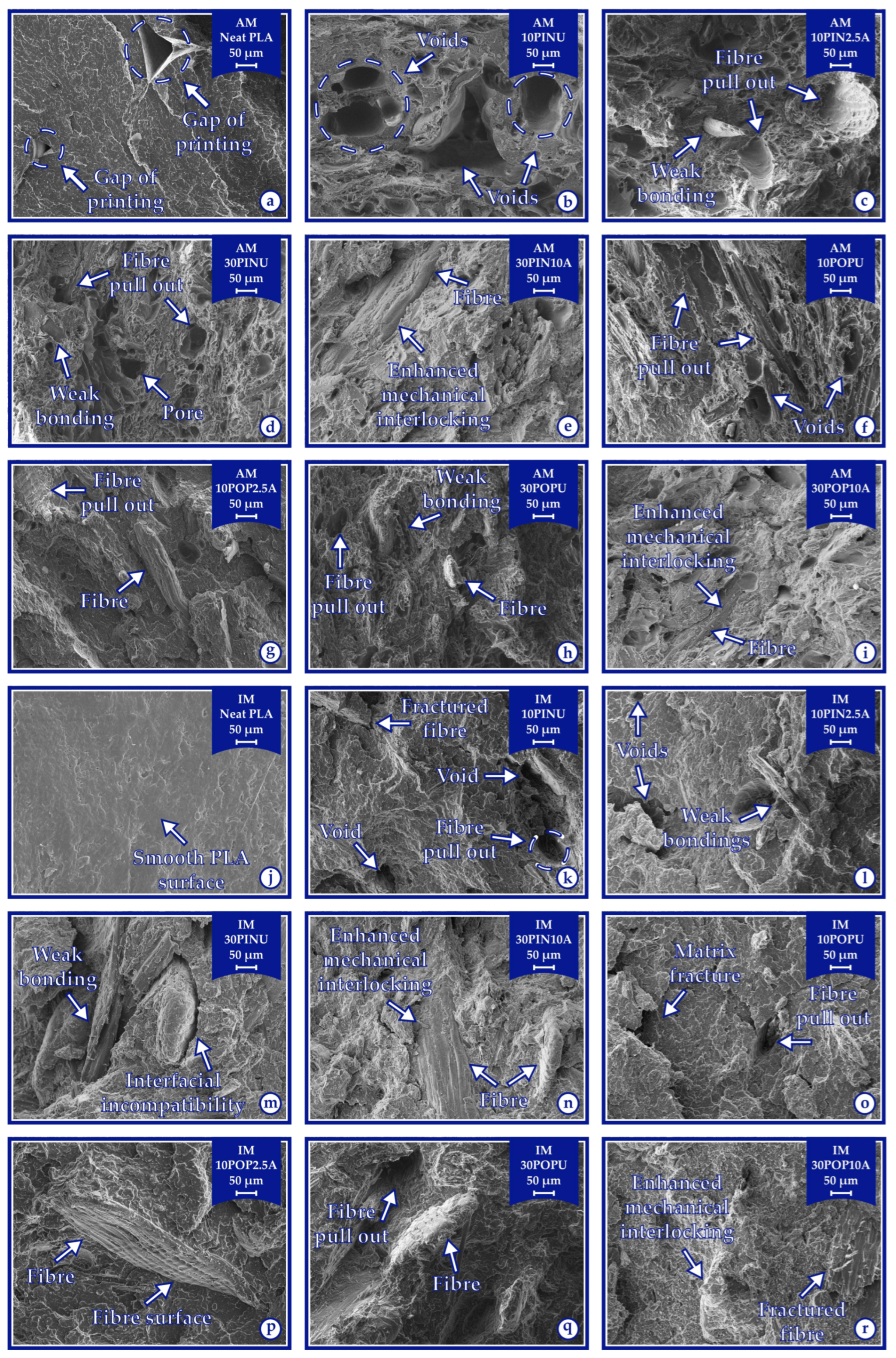 Polymers 17 02004 g009