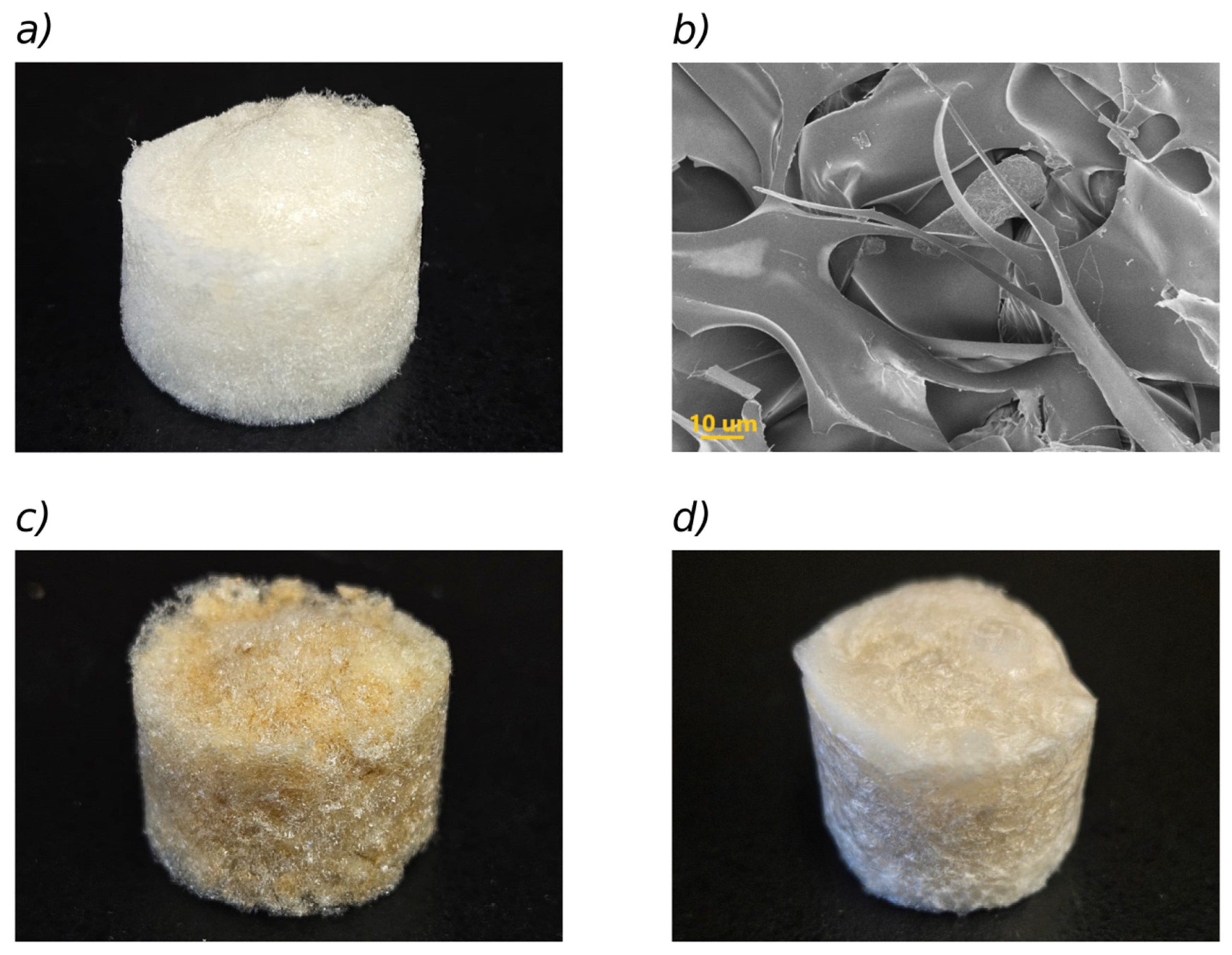Polymers 17 02008 g001