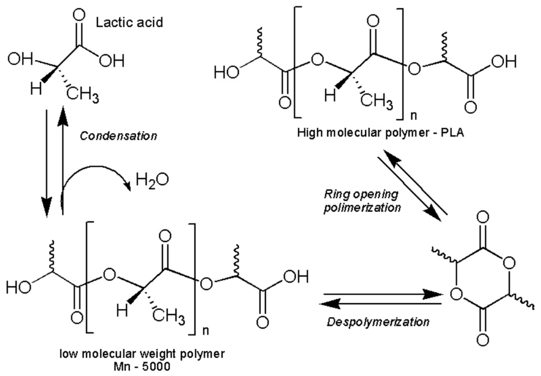 Polymers 17 02009 g001