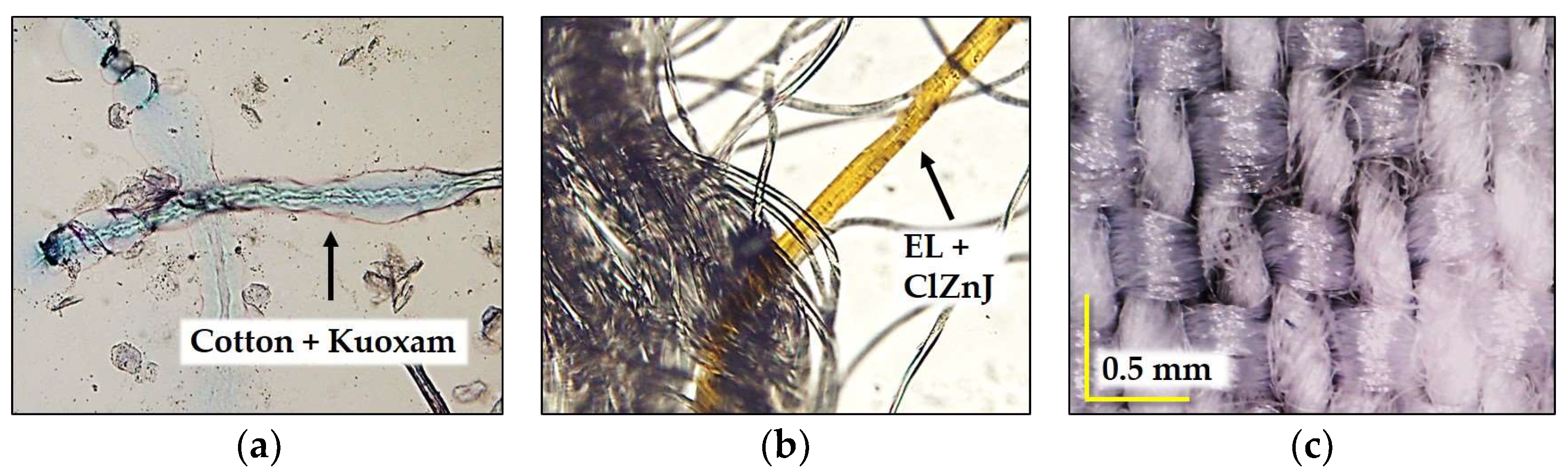 Polymers 17 02013 g001 Polymers 17 02013 g001