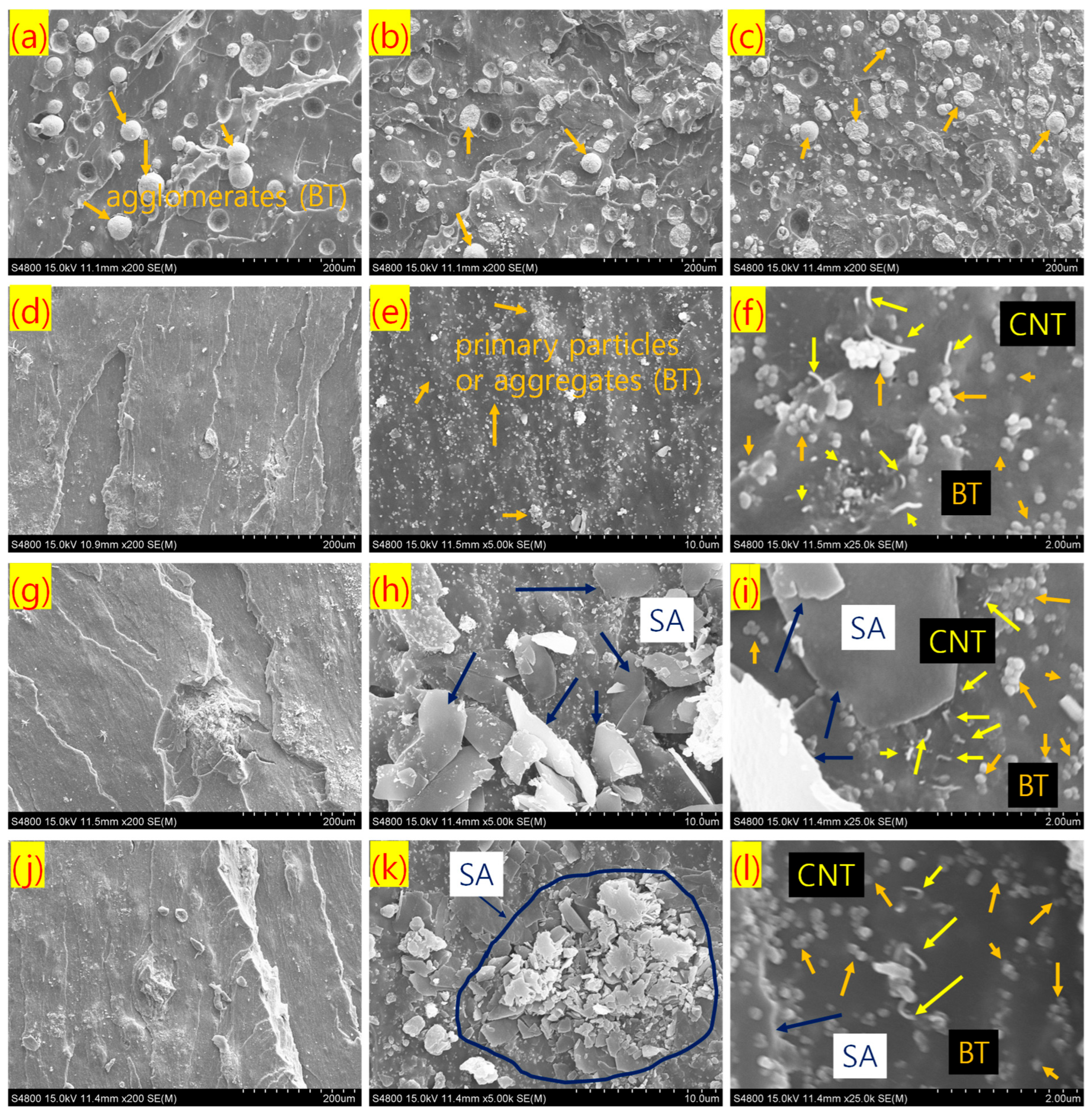 Polymers 17 02016 g004