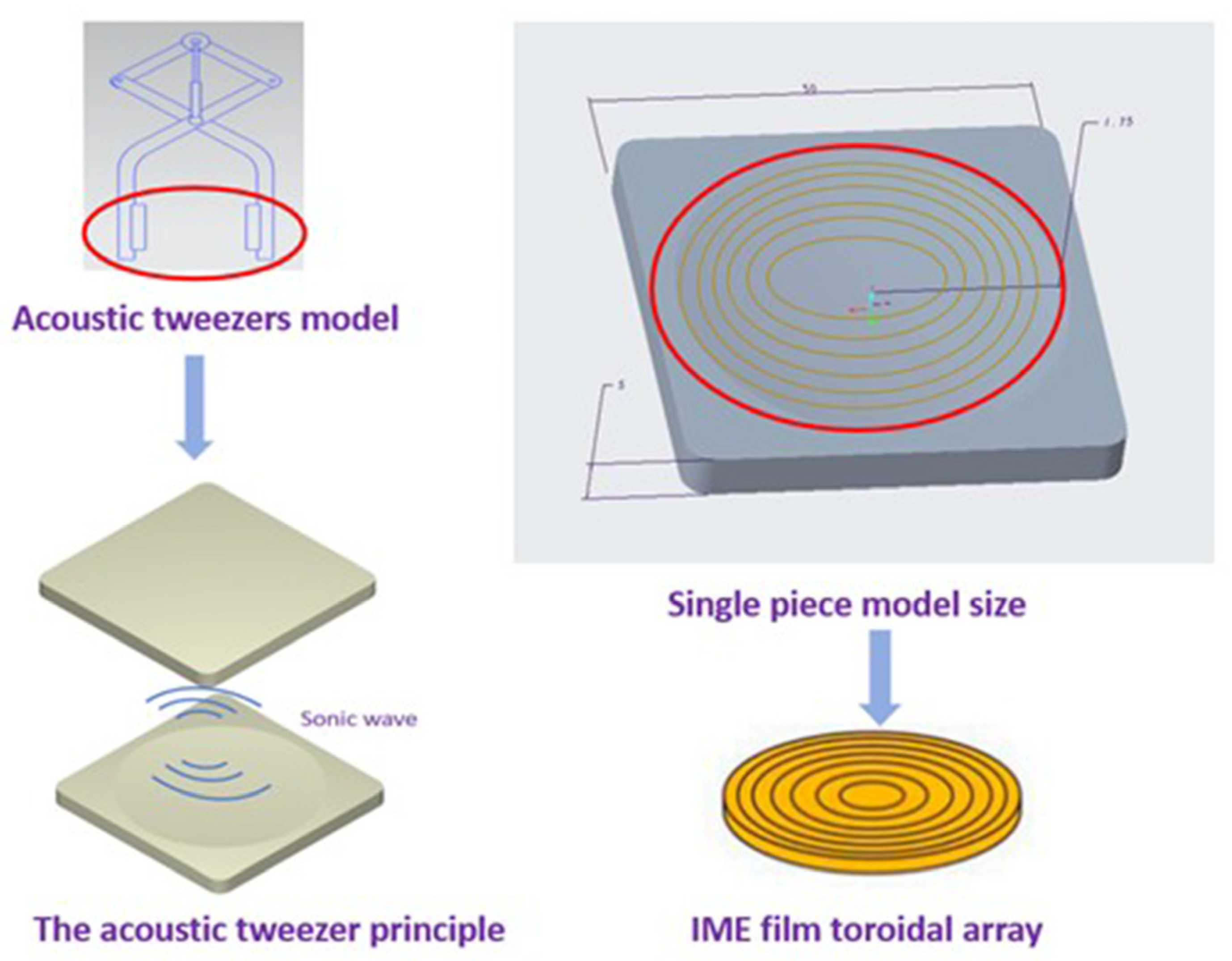 Polymers 17 02018 g004