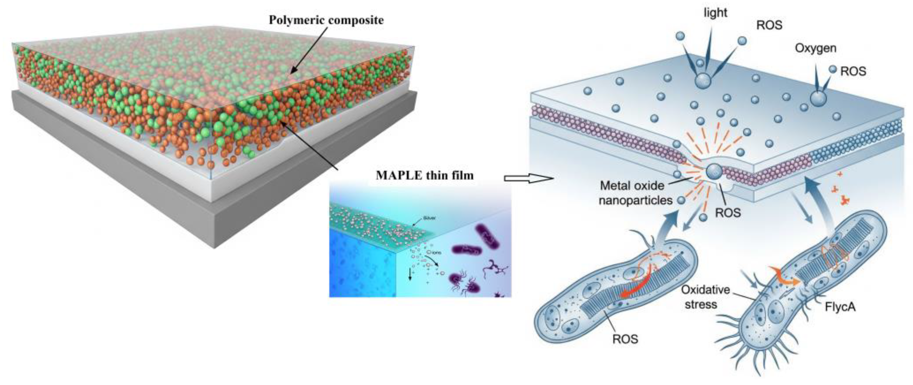Polymers 17 02020 g004