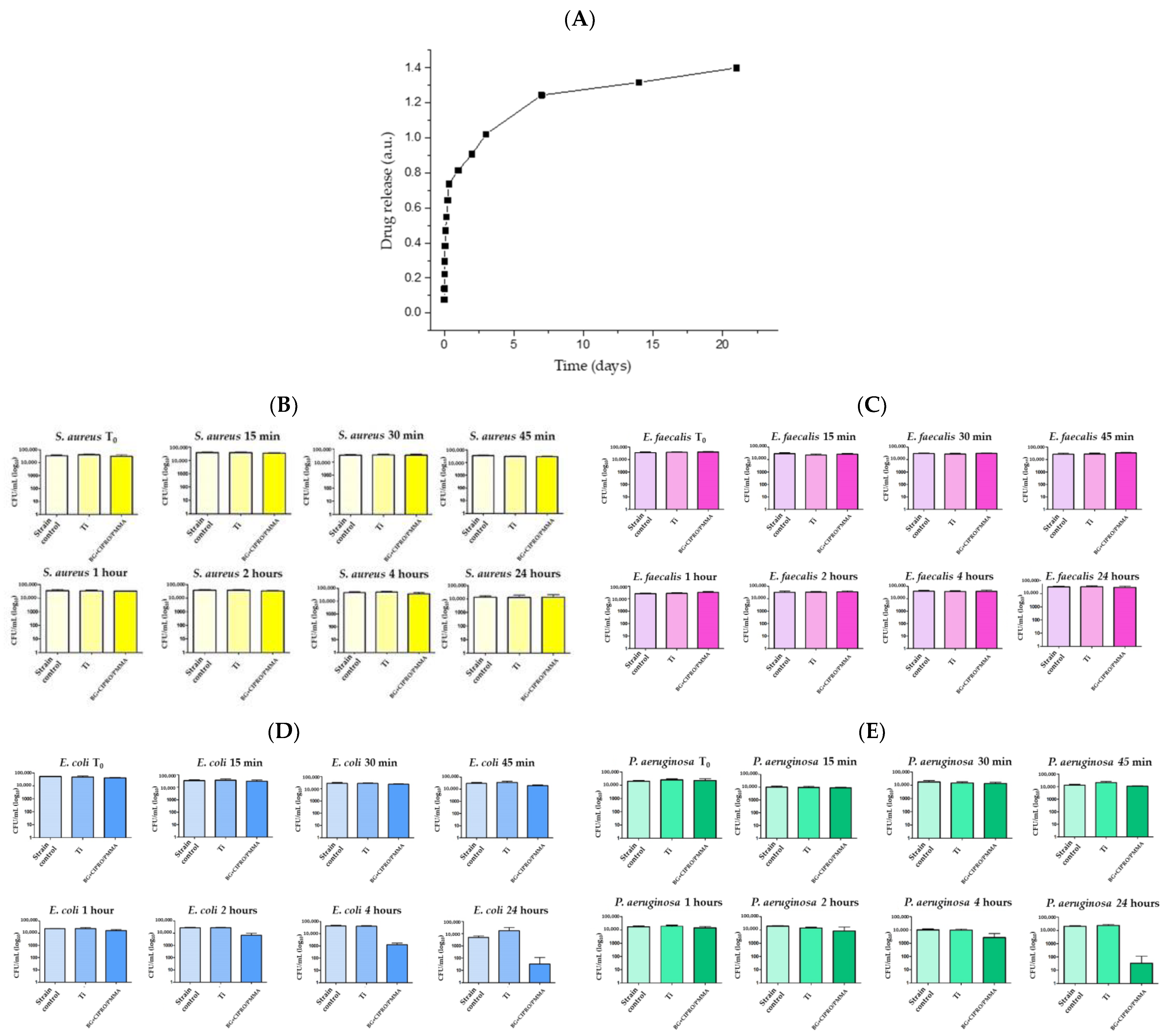Polymers 17 02020 g006