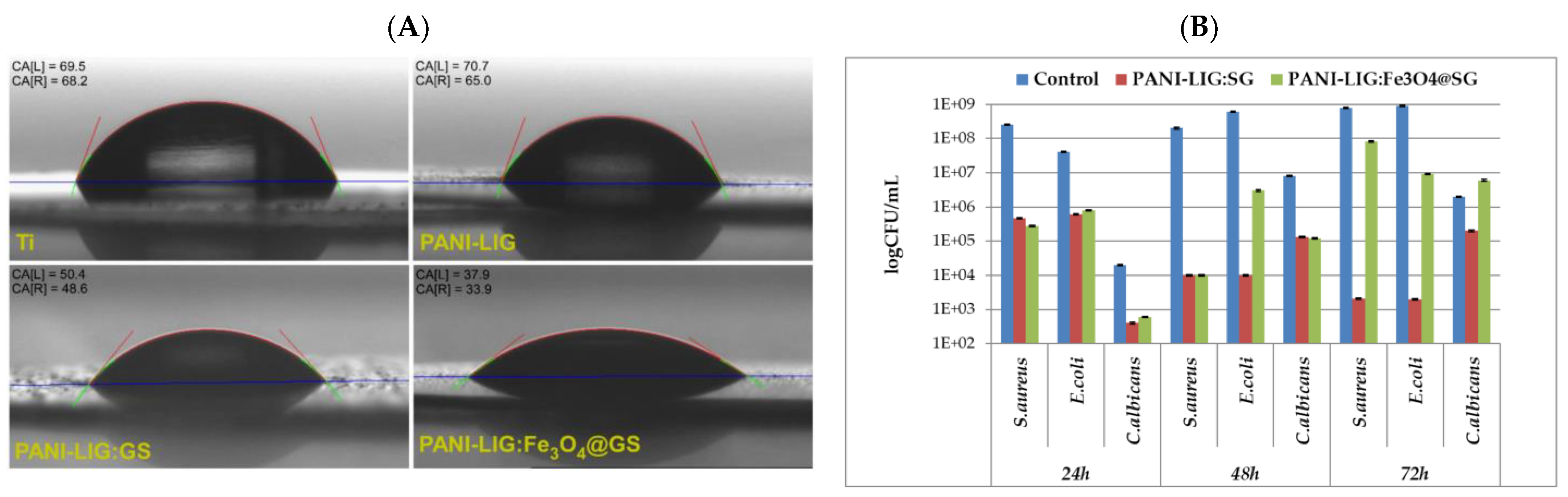 Polymers 17 02020 g008