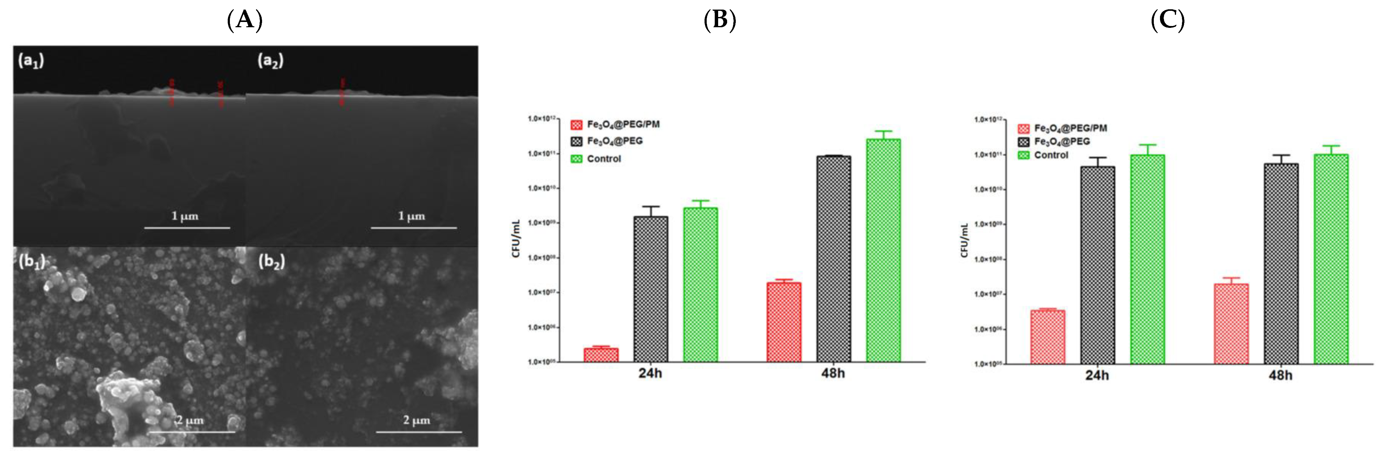 Polymers 17 02020 g010