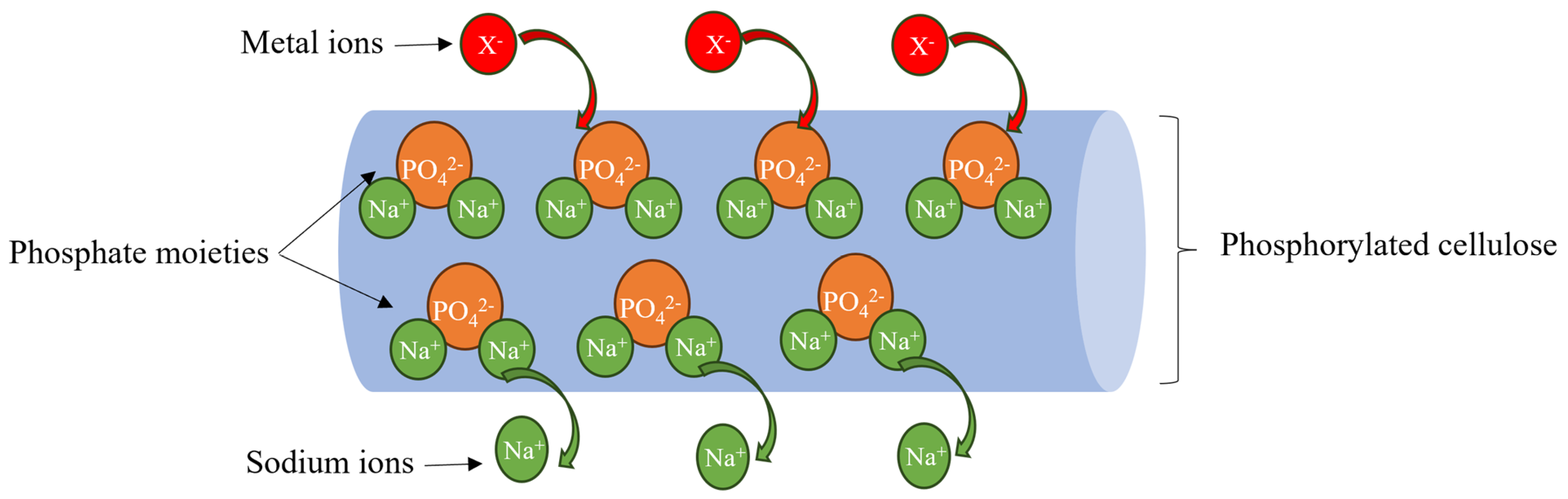Polymers 17 02022 g001