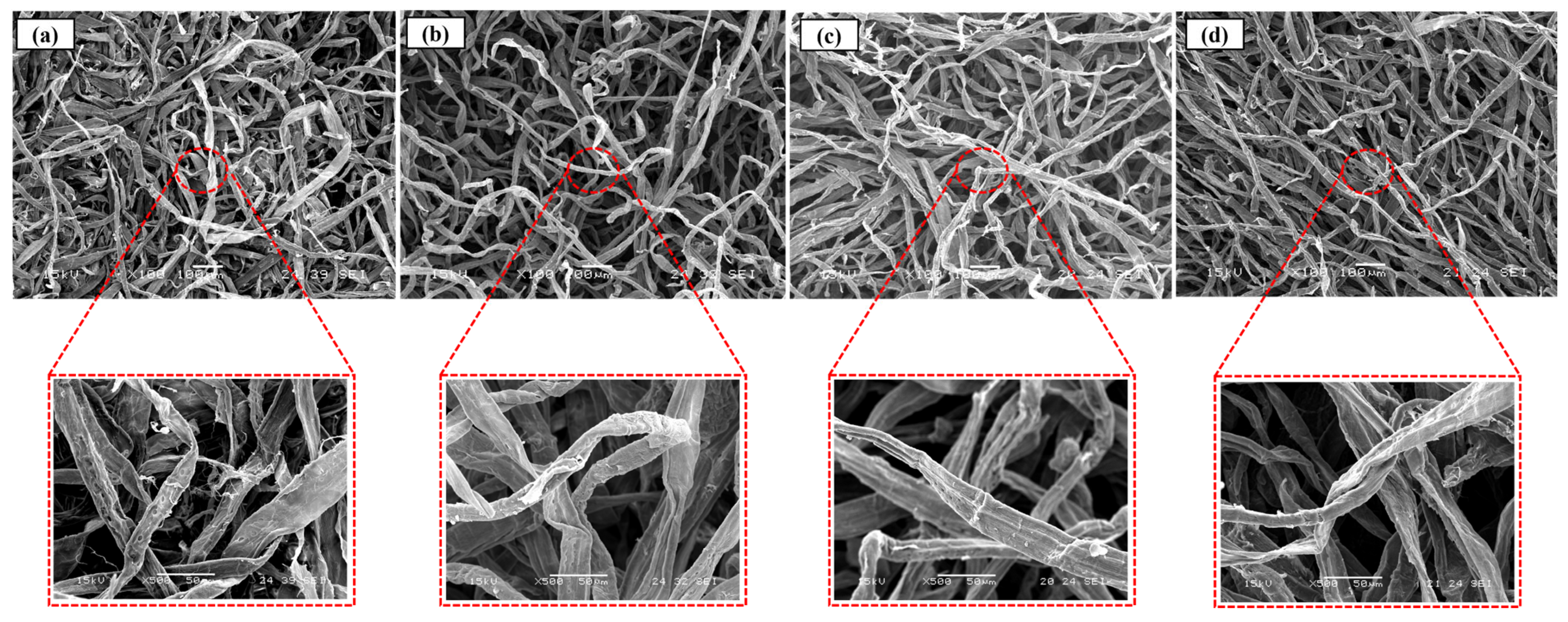 Polymers 17 02022 g005
