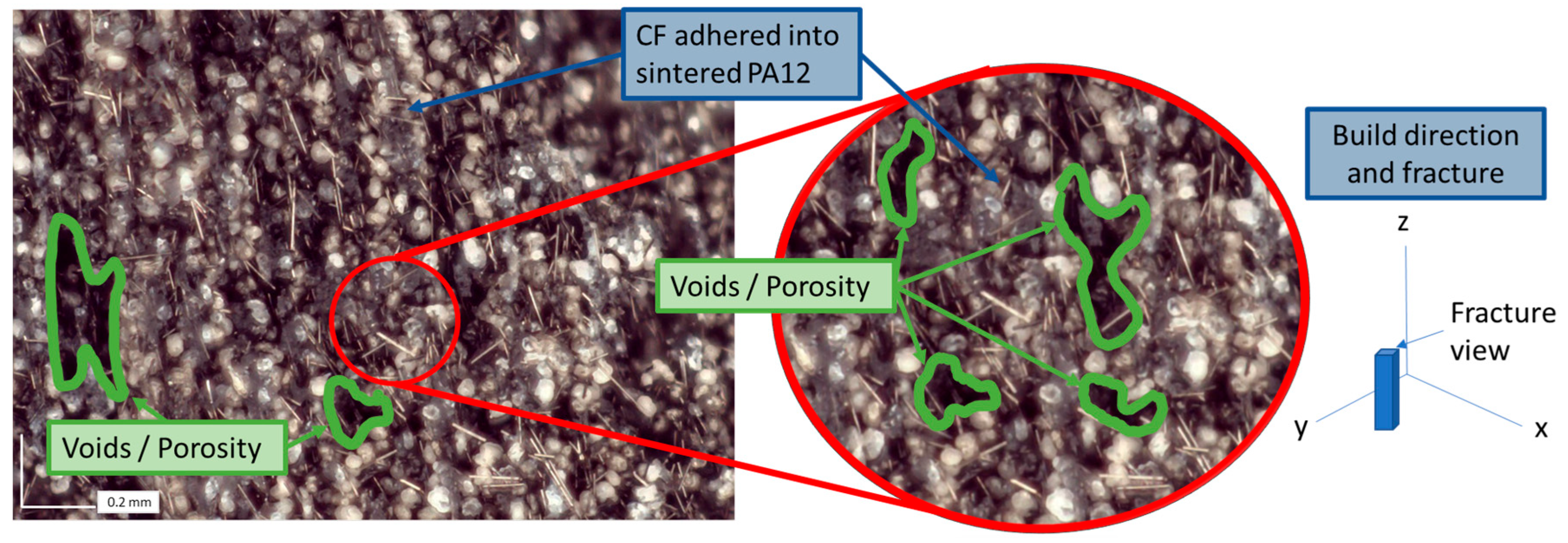 Polymers 17 02028 g004